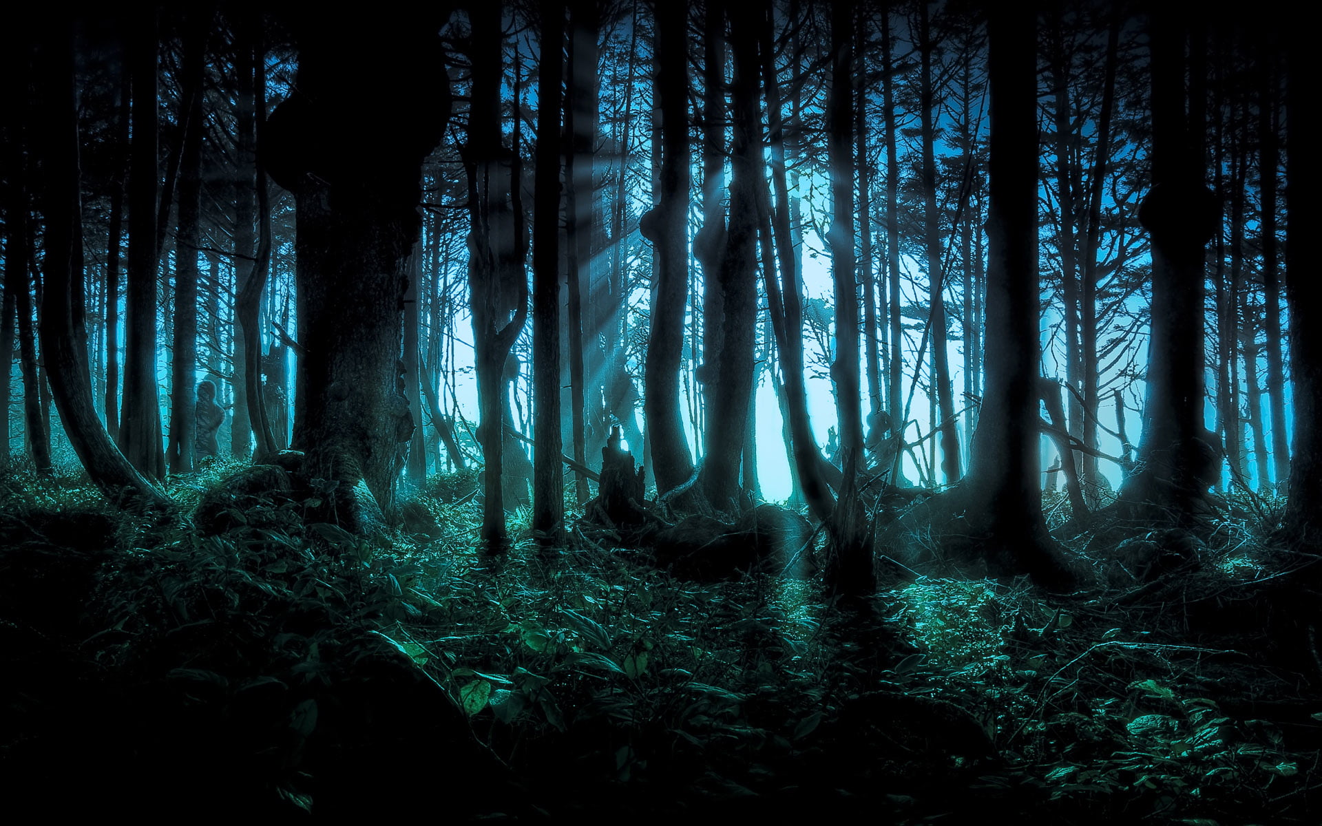 forest wallpaper nature fantasy art dark trees plant land 2k