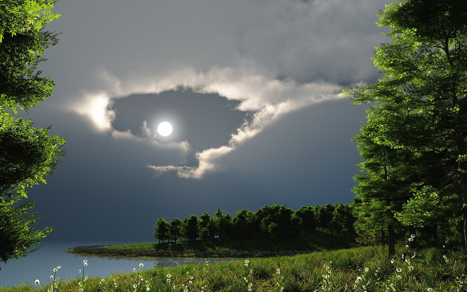 original nature background image tree plant sky 2k