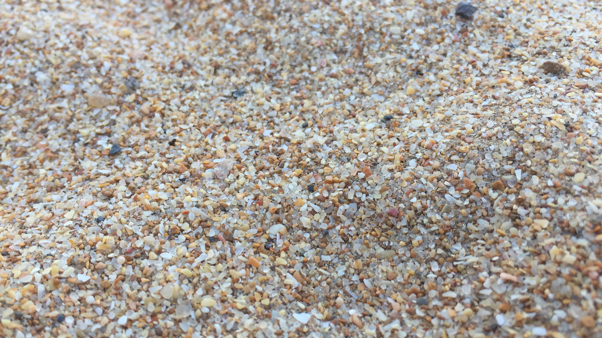 sand beach macro 2k