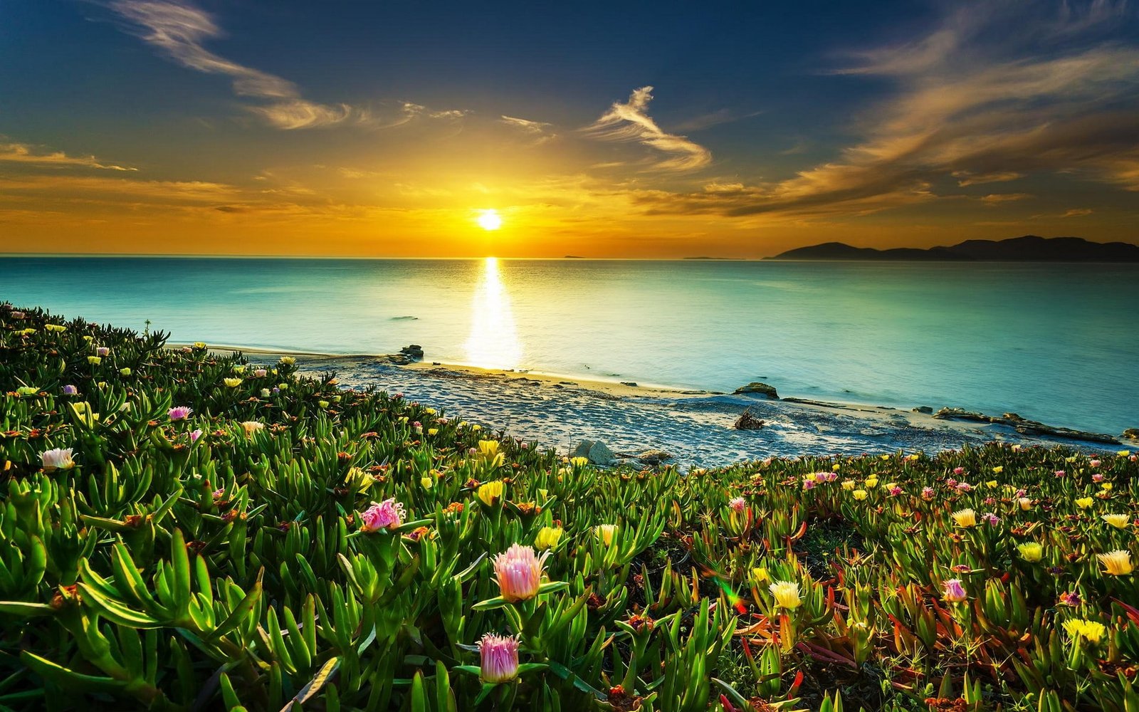 Sunset Sea Landscape Flowers Coast Beach Beautiful 2k