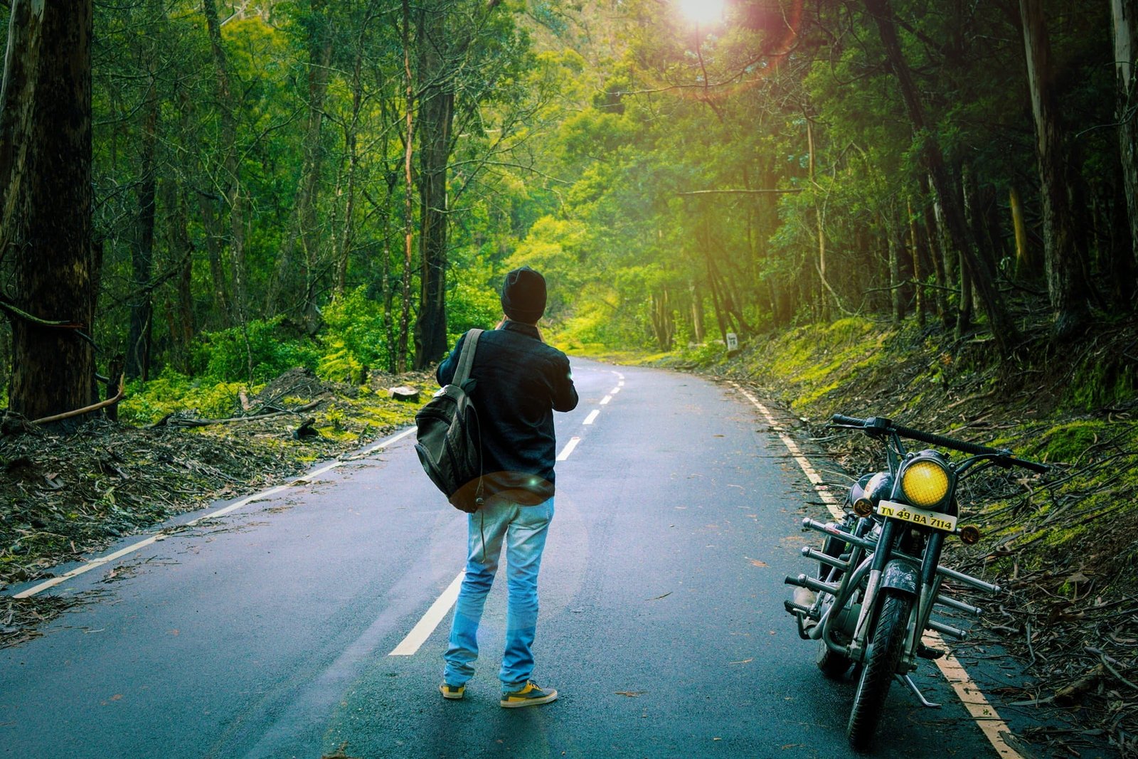 Nature Royal Enfield Man Season natural male wild wood 2k