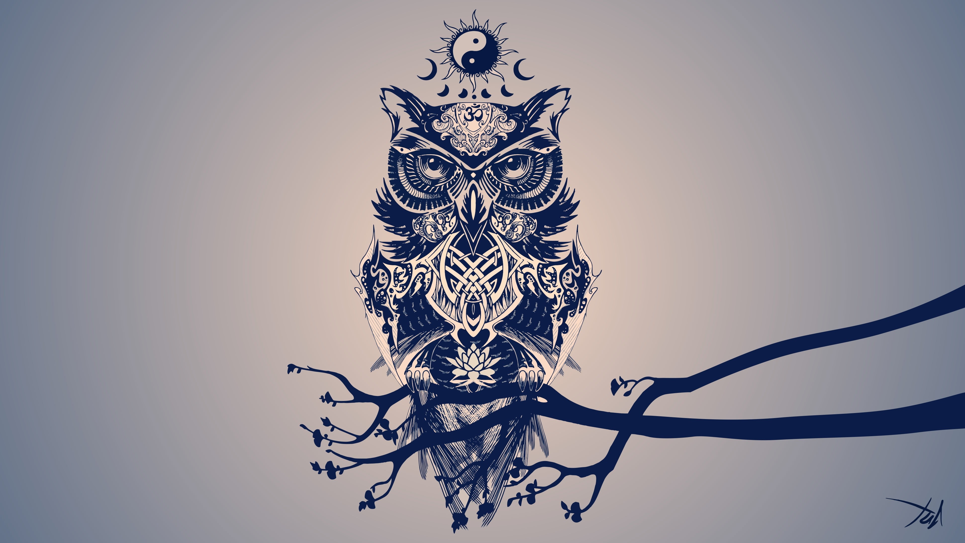 owl digital wallpaper painting of minimalism art 2k 4k