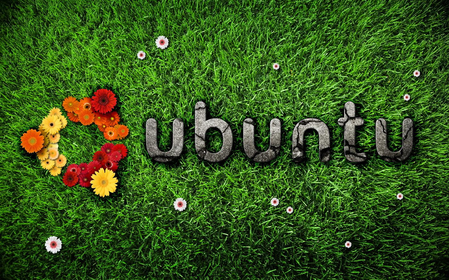 Ubuntu Nature Linux grass digital wallpaper Computers