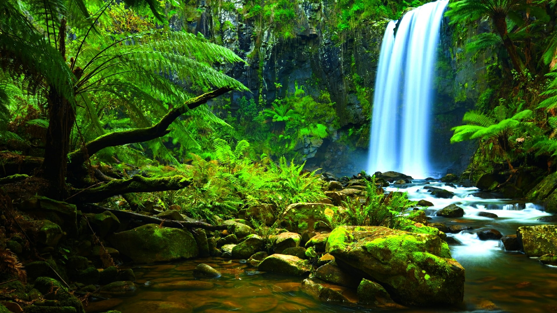 waterfall amazon nature body of water rainforest watercourse 2k