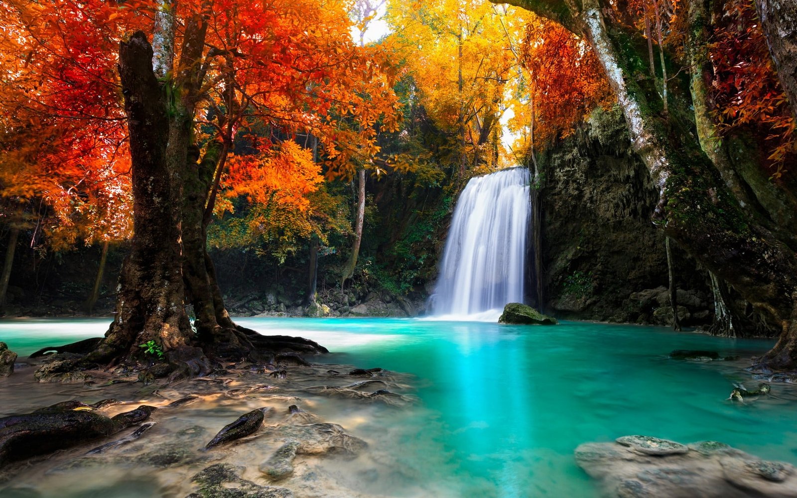 waterfalls surrounded by trees painting colorful 2k
