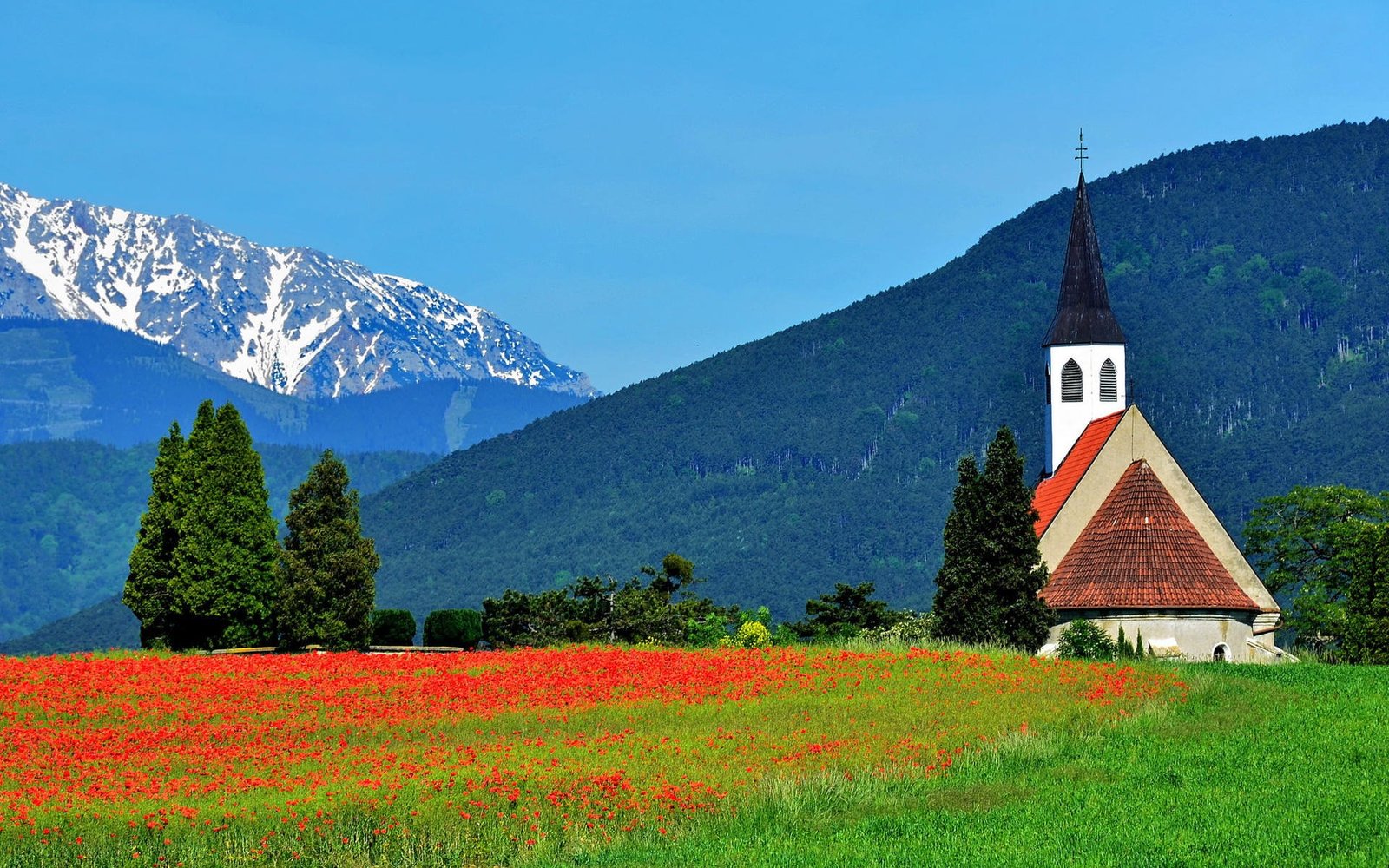 Windows 10 Nature Scenery HD Desktop Wallpaper 16 mountain plant 2k