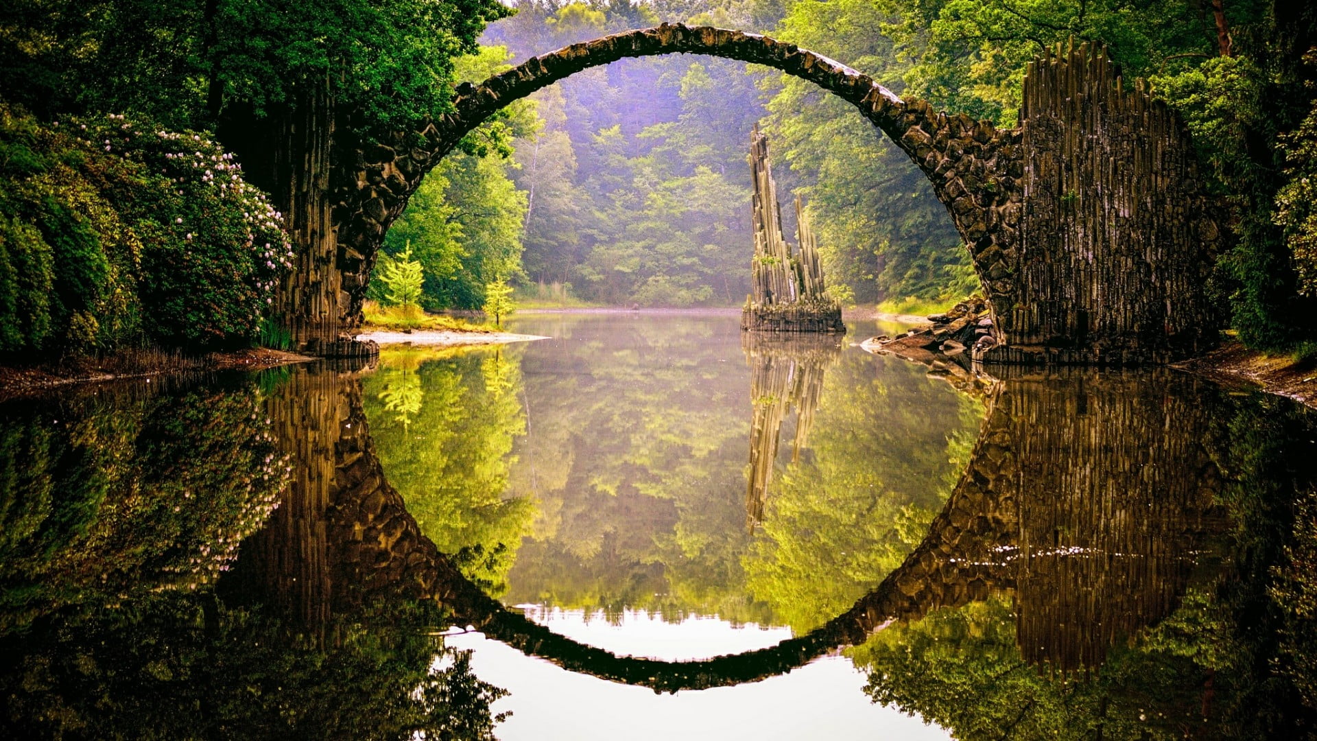 reflection water nature waterway green leaf vegetation 2k