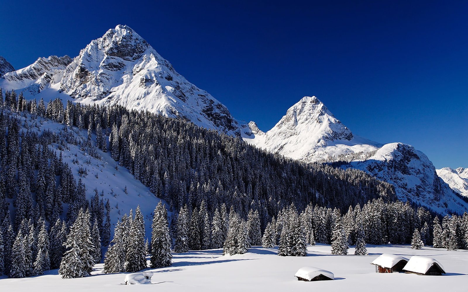 snow capped mountain nature winter trees mountains cold temperature 2k
