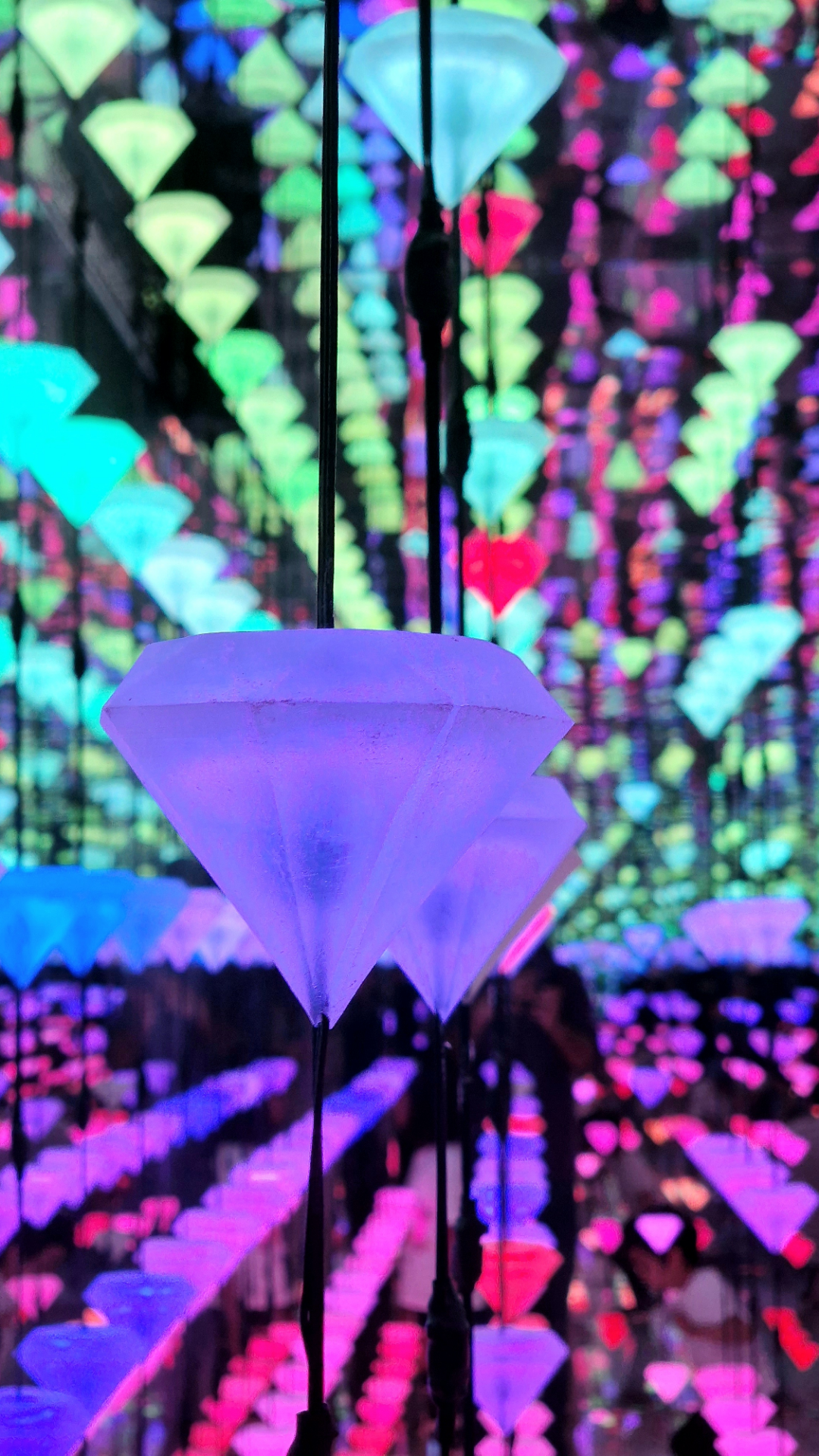 Reflections of Color