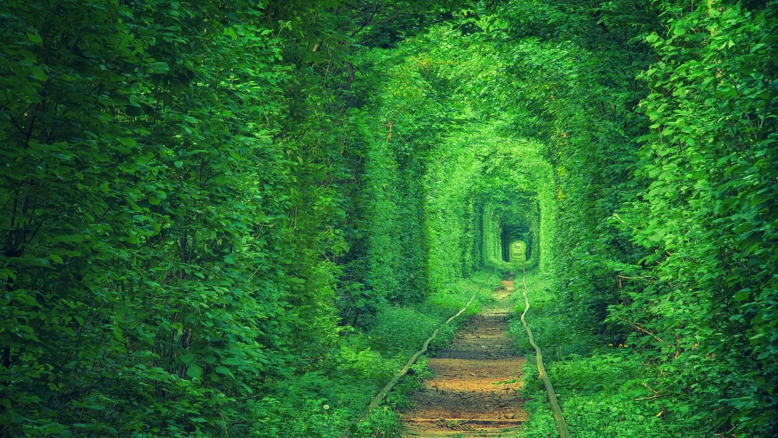 track europe tunnel view grass tunel kokhannya 2k