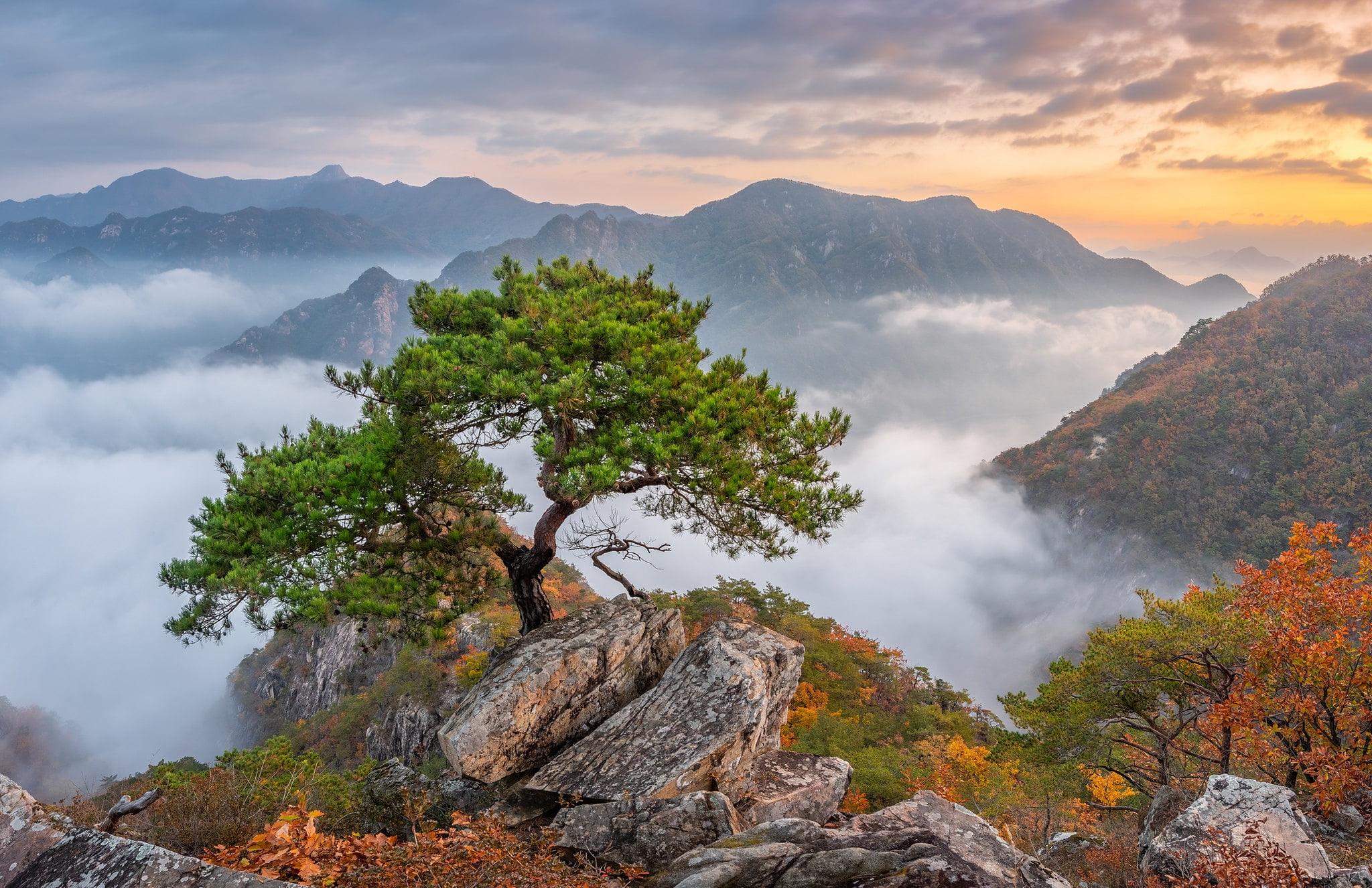 Asia South Korea nature trees mountains rock landscape 2k