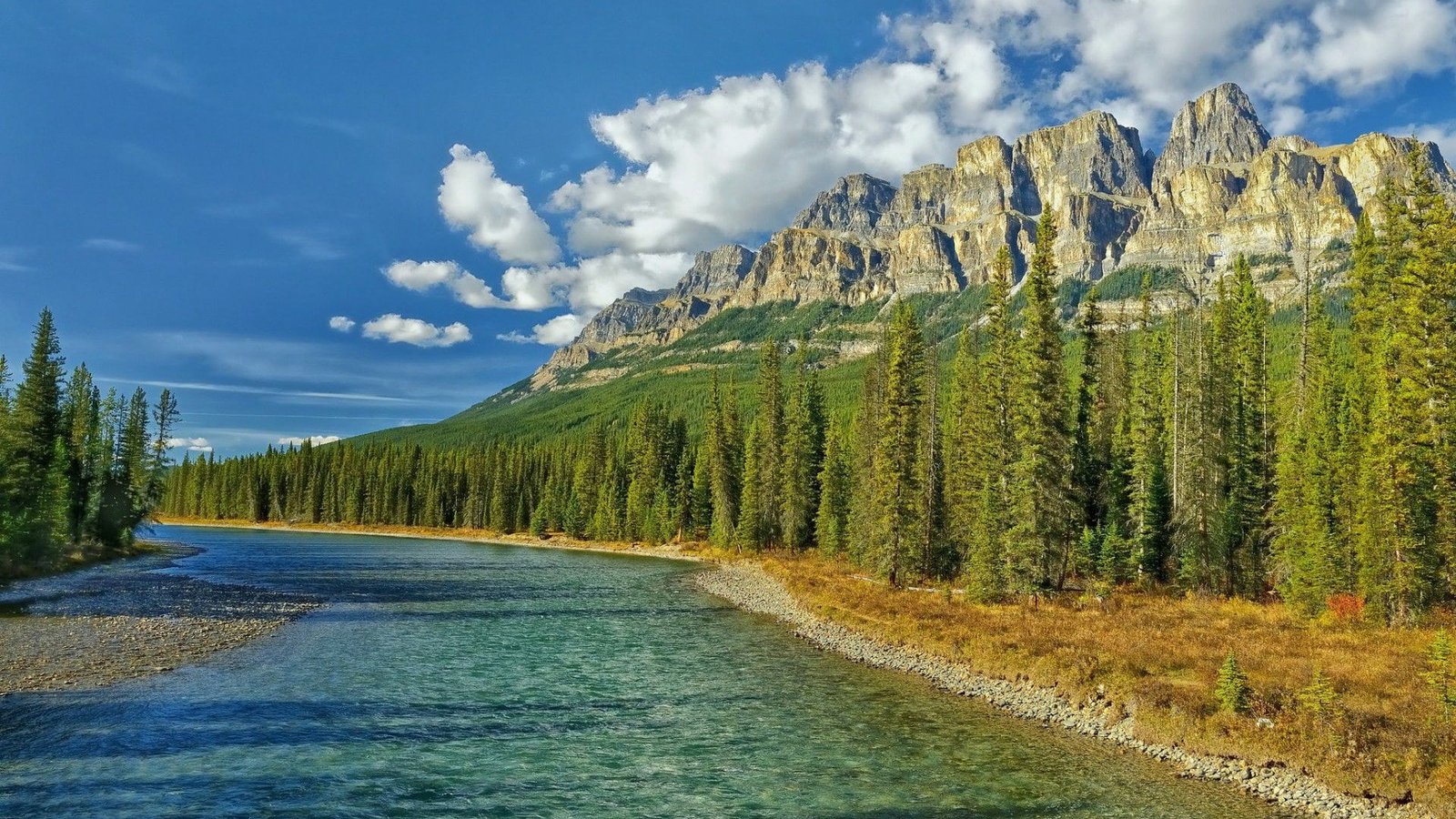for desktop nature scenes beautiful scenery tree 2k