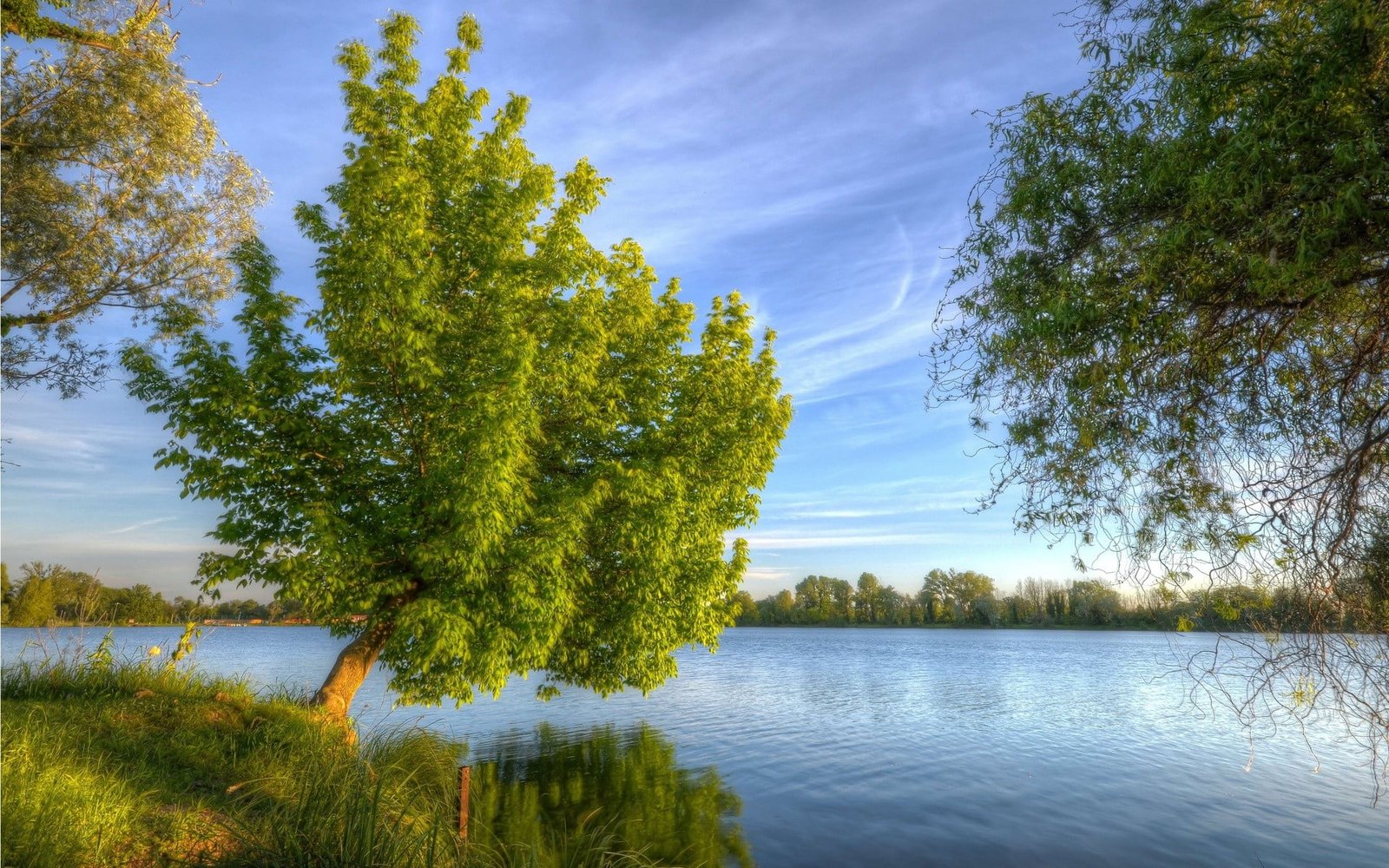 green trees near body of water painting nature landscape lake 2k