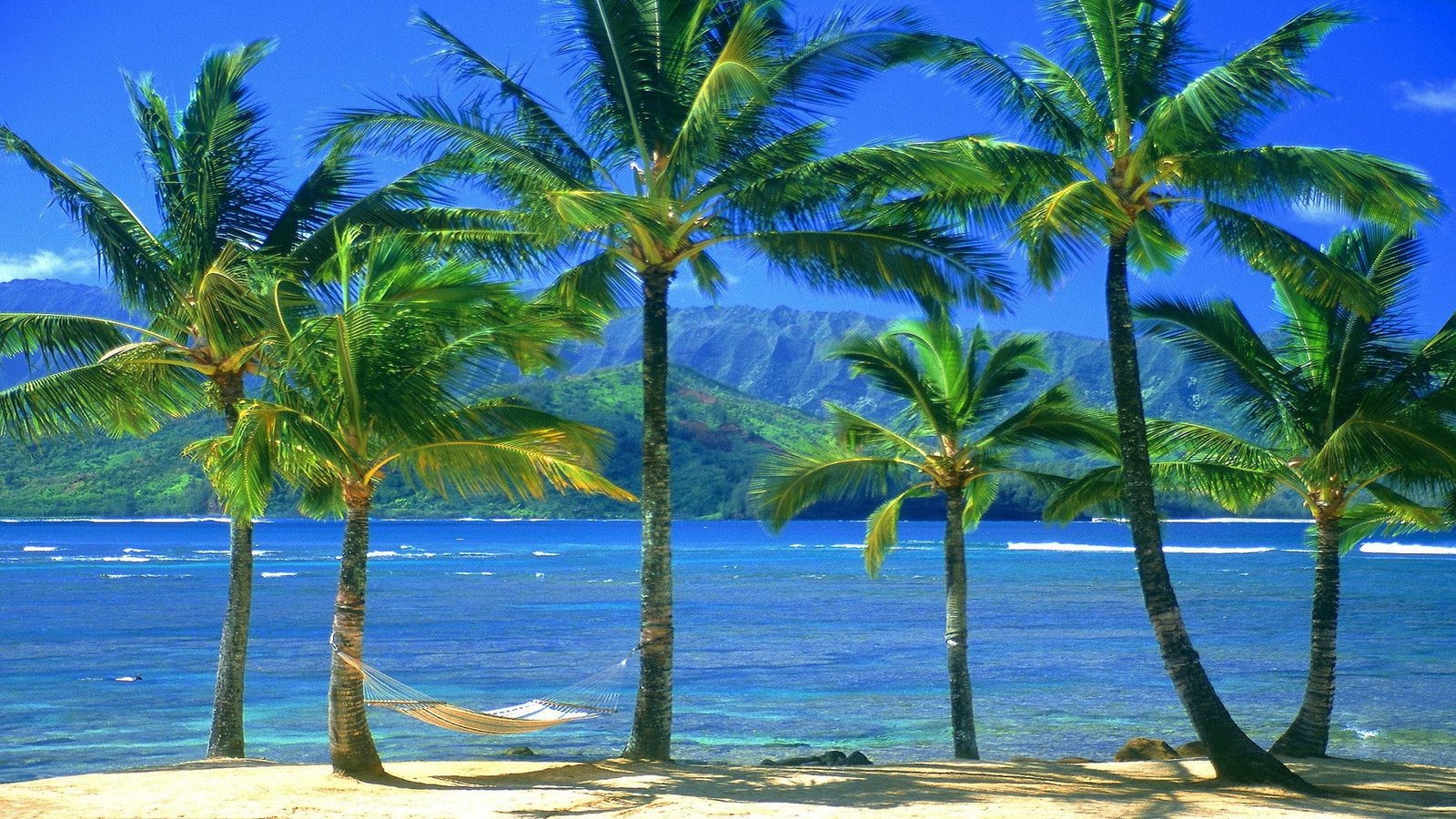 nature turquoise beach sea water travel tropical vacation 2k