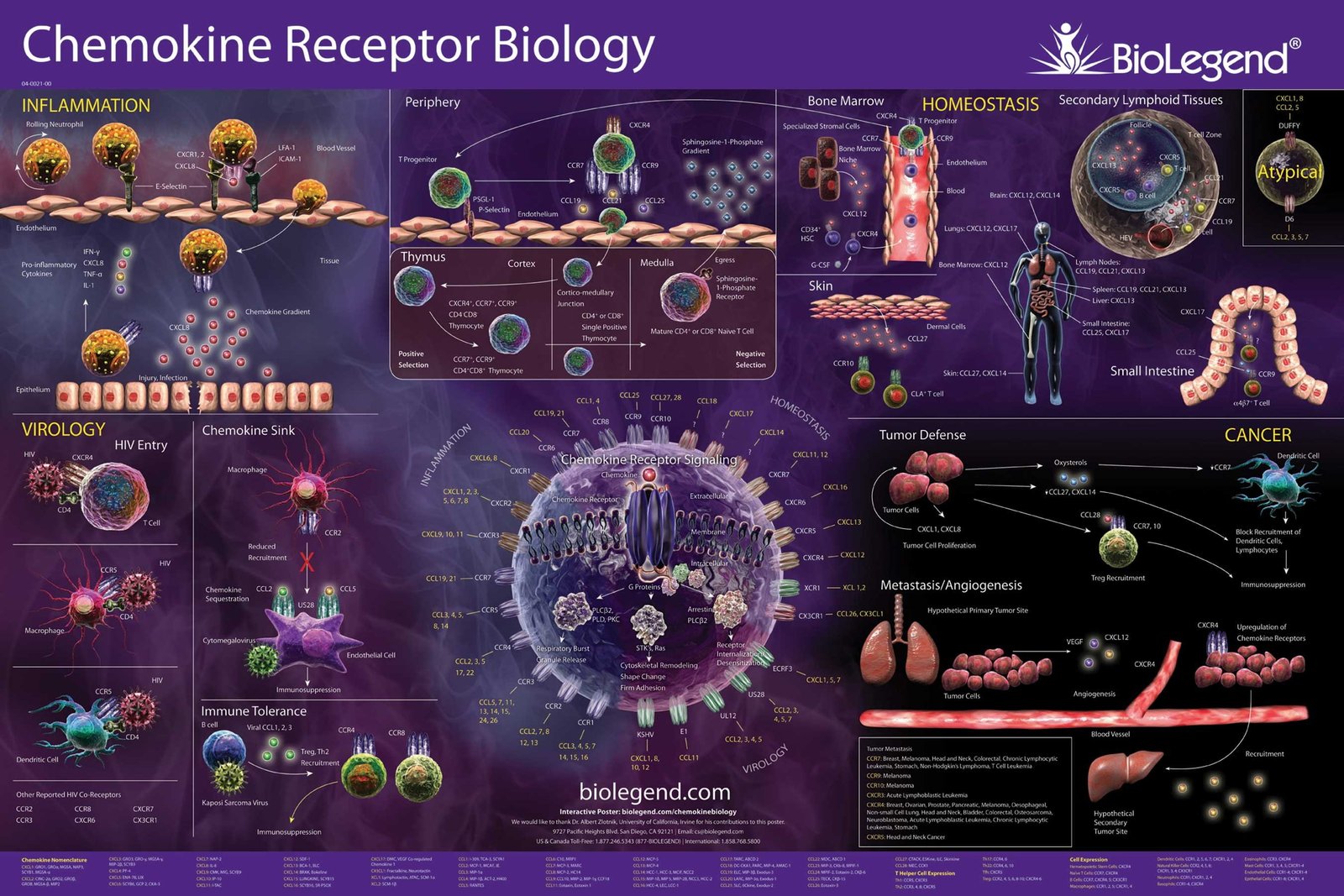abstract abstraction Biology Chemistry detail genetics 2k