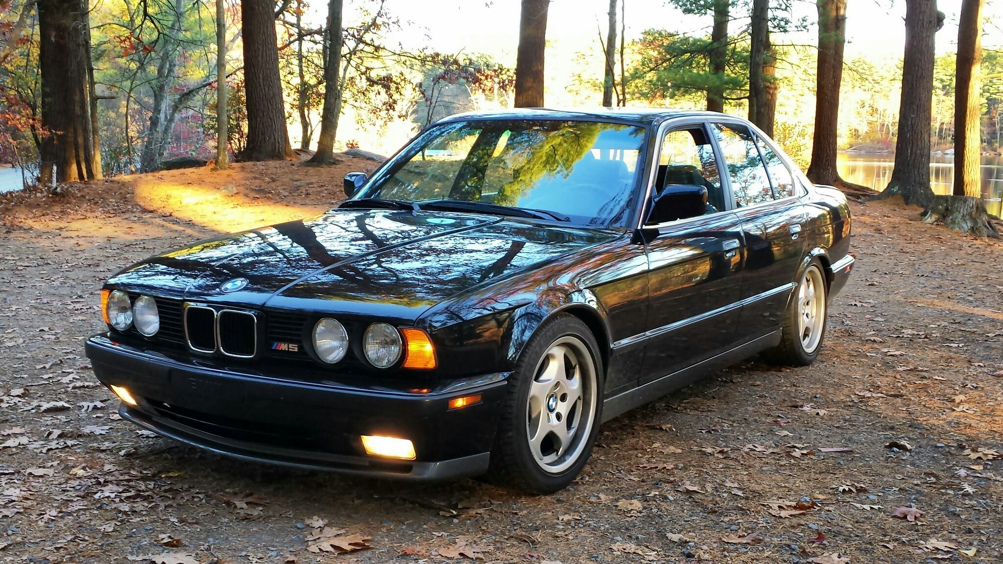 black BMW sedan nature classic car land Vehicle 2k