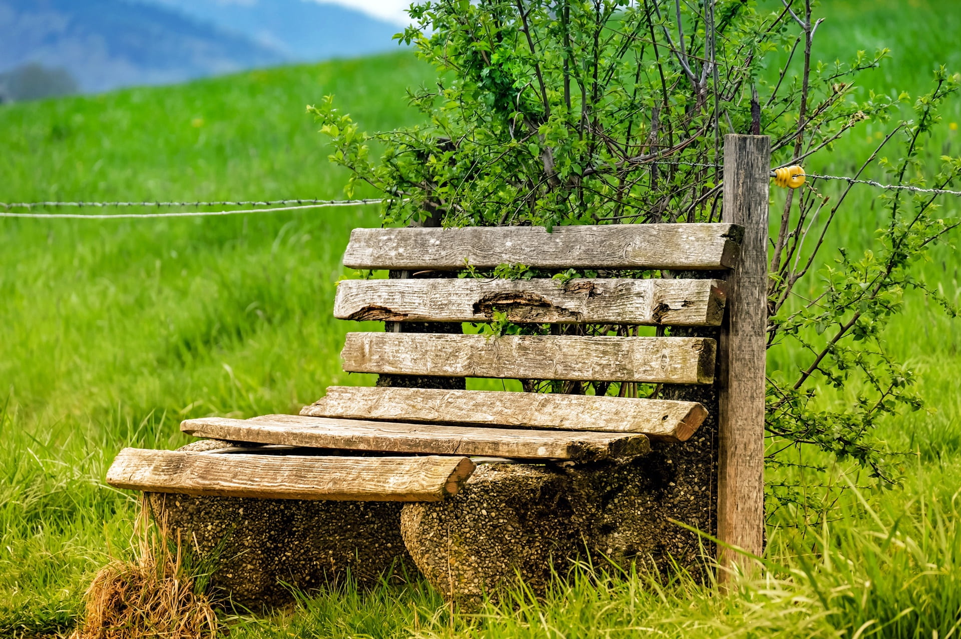 brown wooden bench with background of mountain bank old lapsed 2k