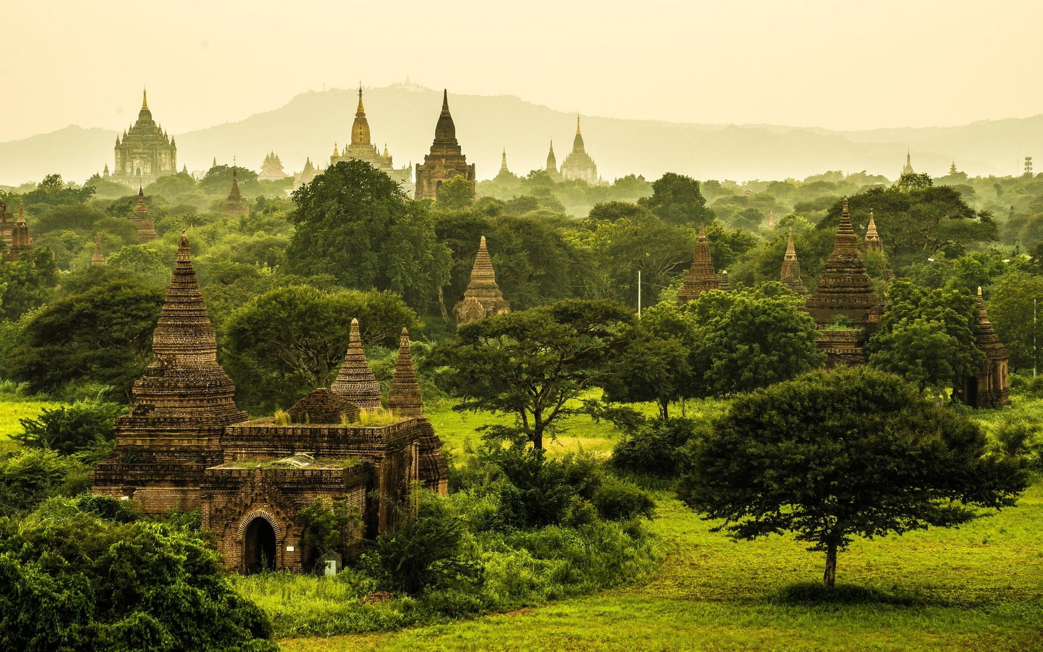 green leafed tree nature landscape Myanmar temple monastery 2k