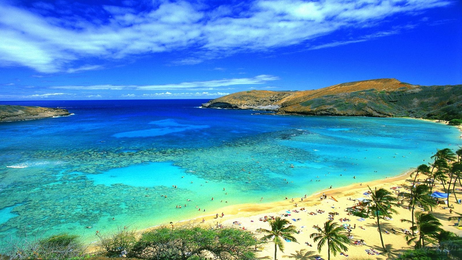 Honolulu Hawaii Beach Wallpaper 2k