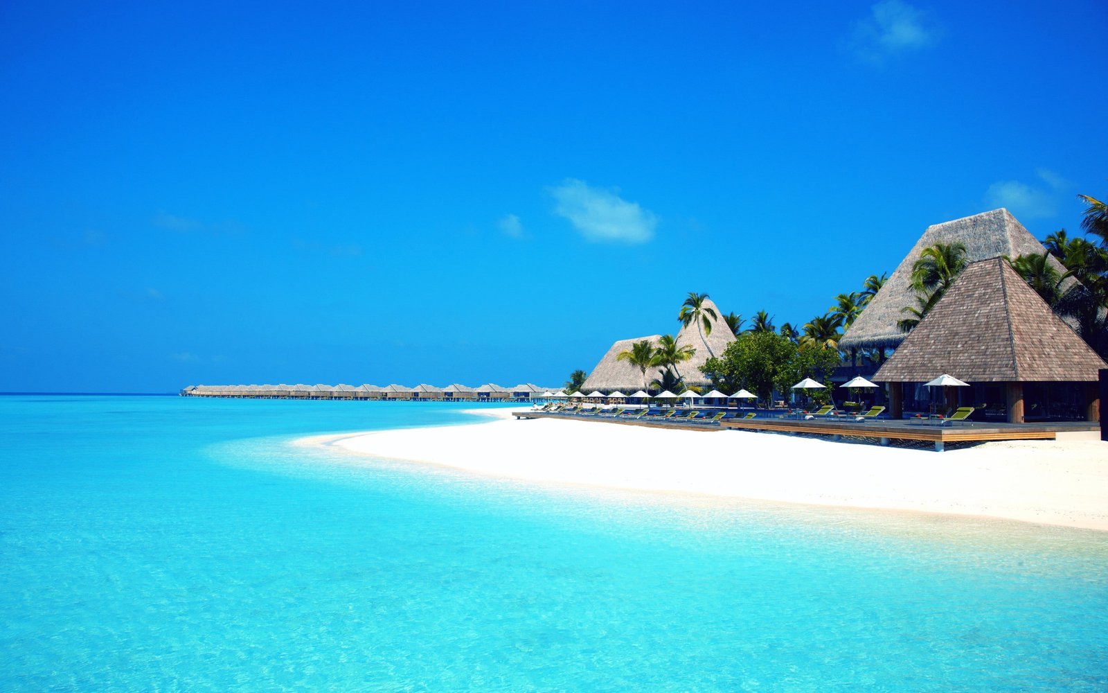 Maldives paradise sky Sea sand bungalows beach palm trees 2k