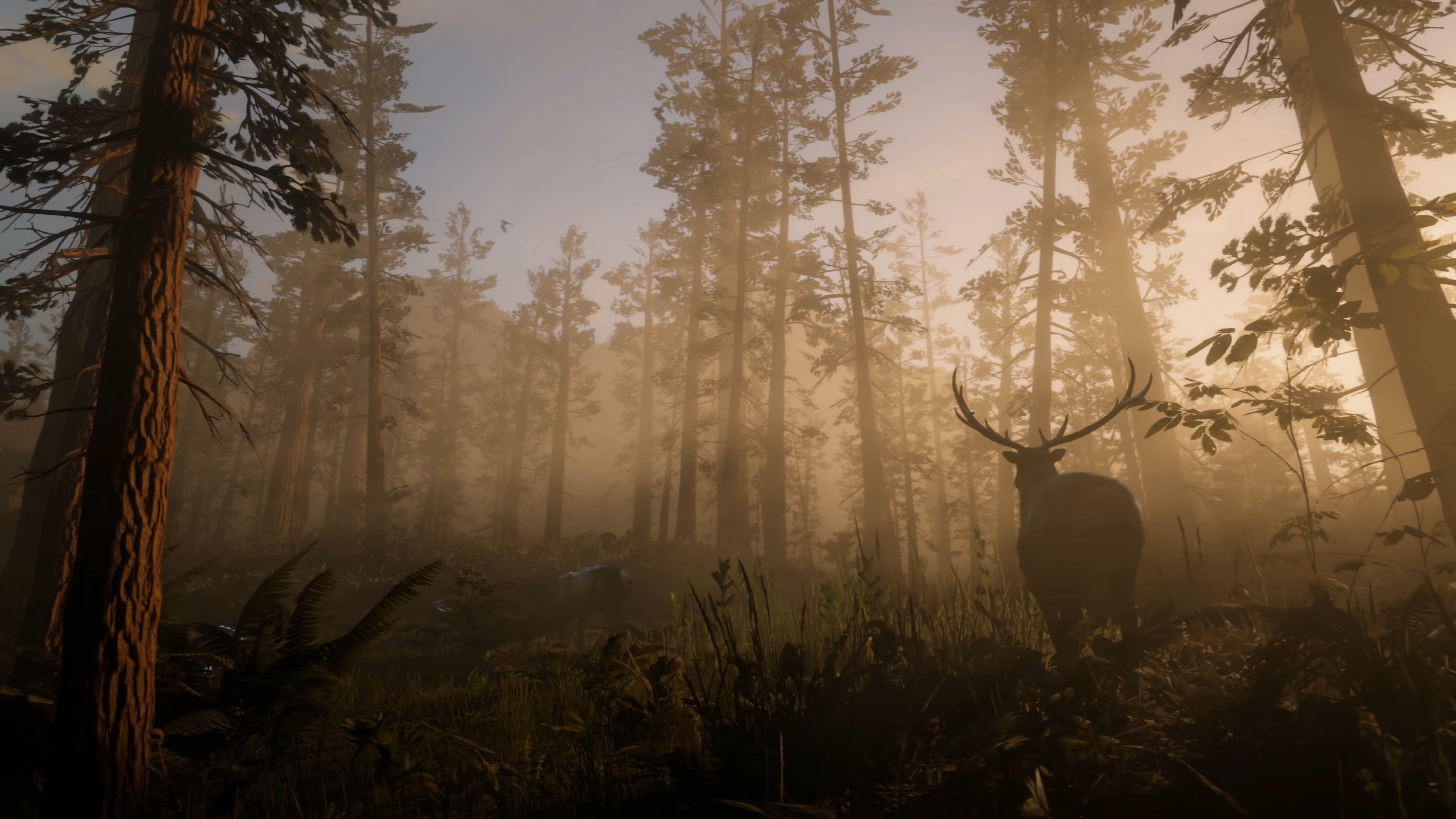 Rockstar Games Red Dead Redemption 2 video games tree plant 2k 4k