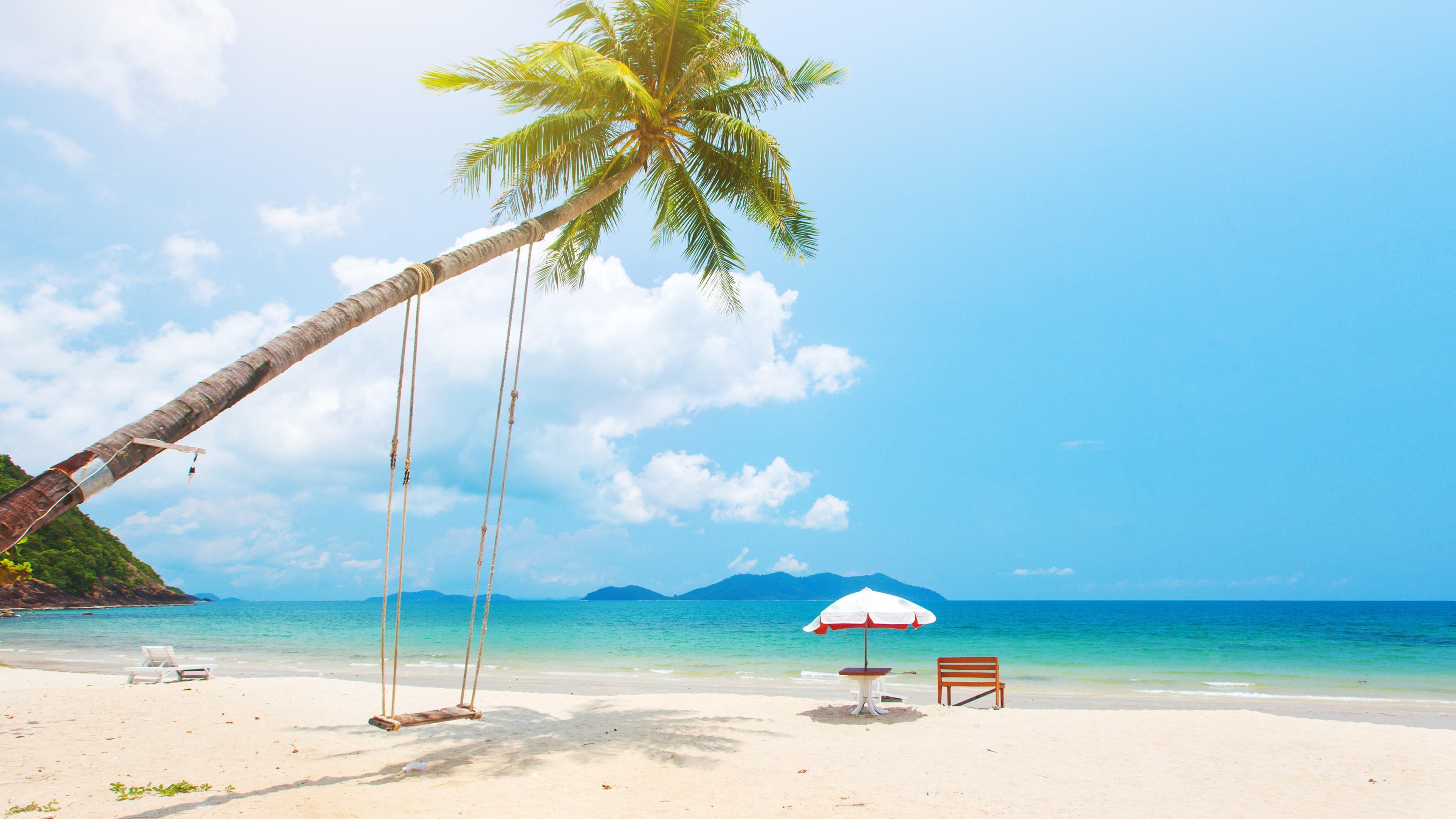 arecales exotic sunny day sunlight sunshine swing sandy beach 2k 4k