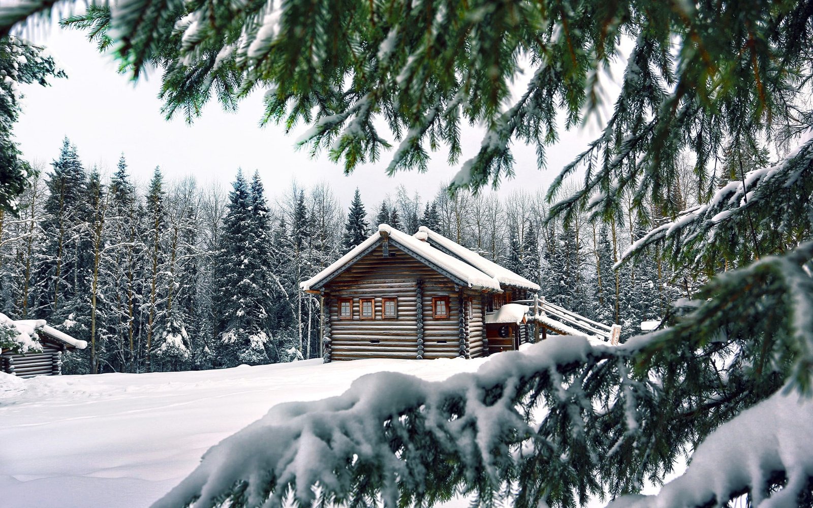 background nature image snow winter cold temperature 2k