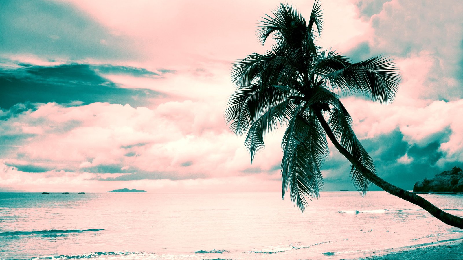beach pink turquoise Coconut palms clouds 2k
