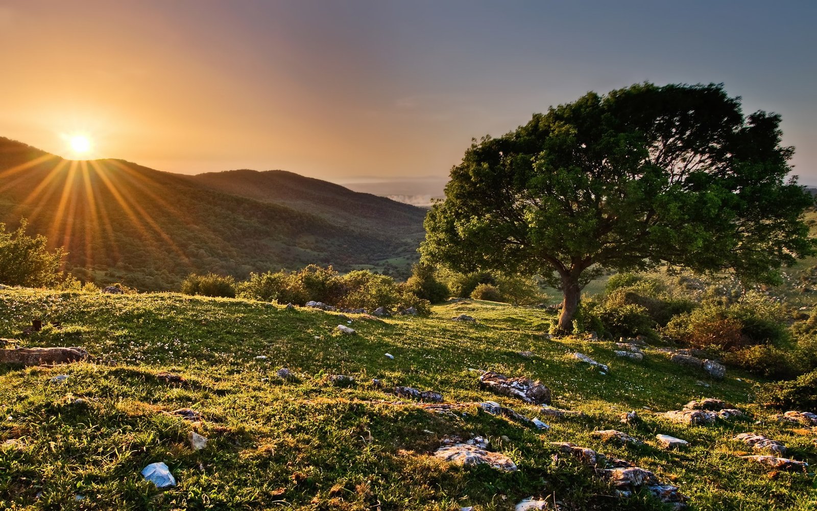 full hd p nature desktop backgrounds 2k