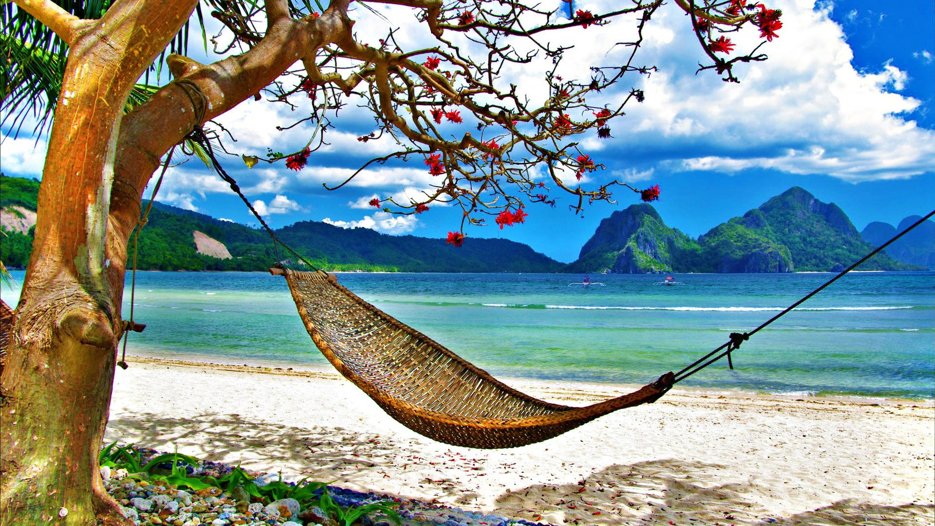 Hammock Tropical Beach Trees Ocean HD nature 2k