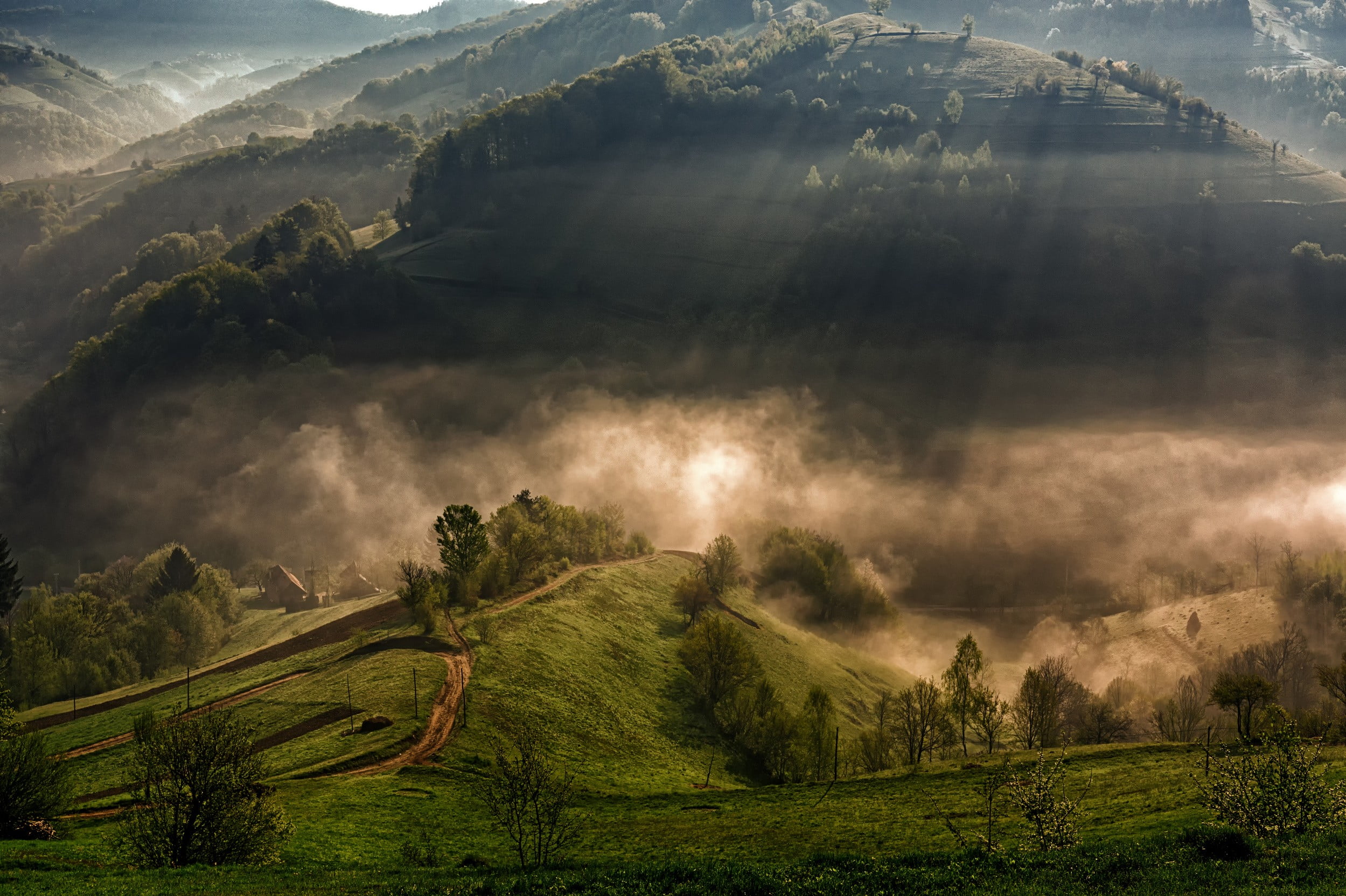 mountains with trees nature landscape sun rays mist morning 2k