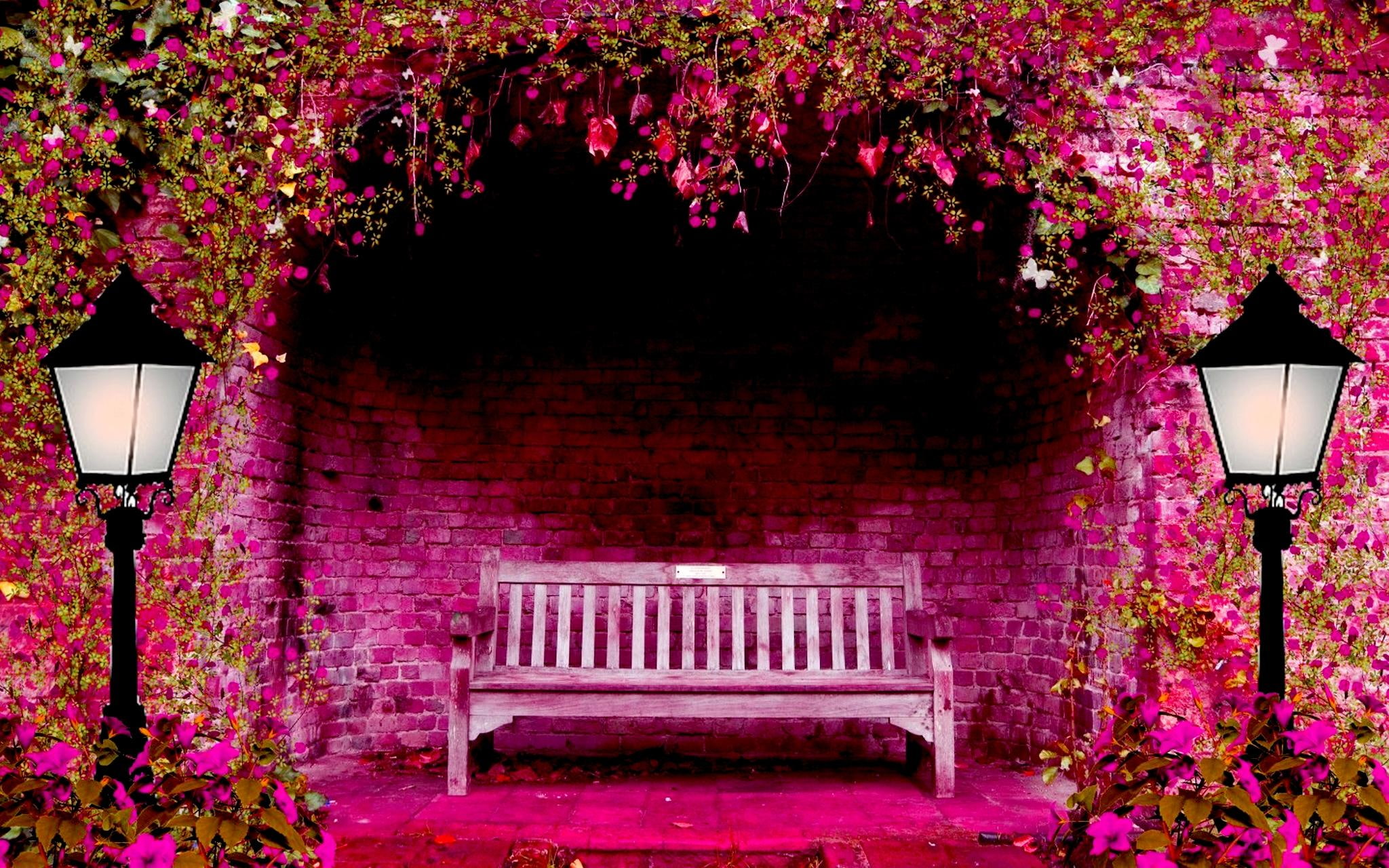 Pink Spring Garden lights bench arch flowers and abstract 2k