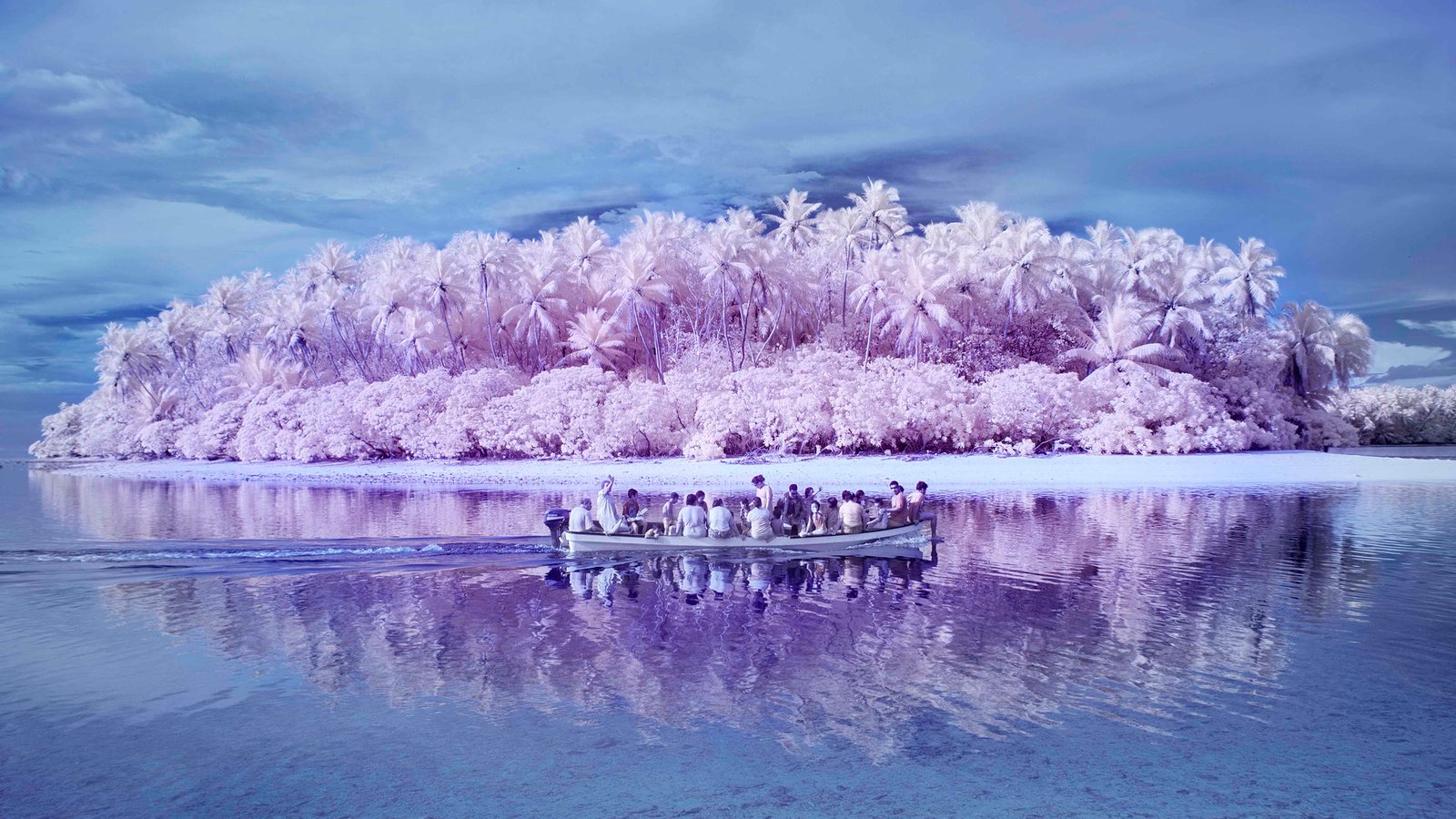 white and purple island pink Pacific Ocean palm trees boat 2k