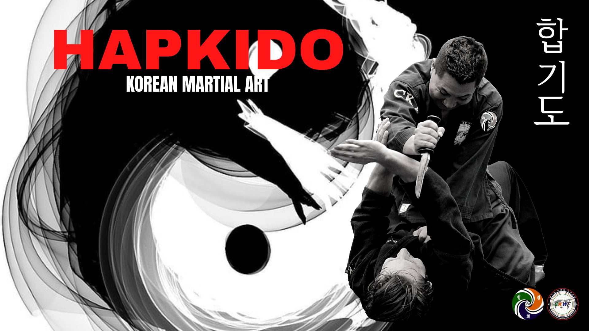 hapkido korean martial arts 2k