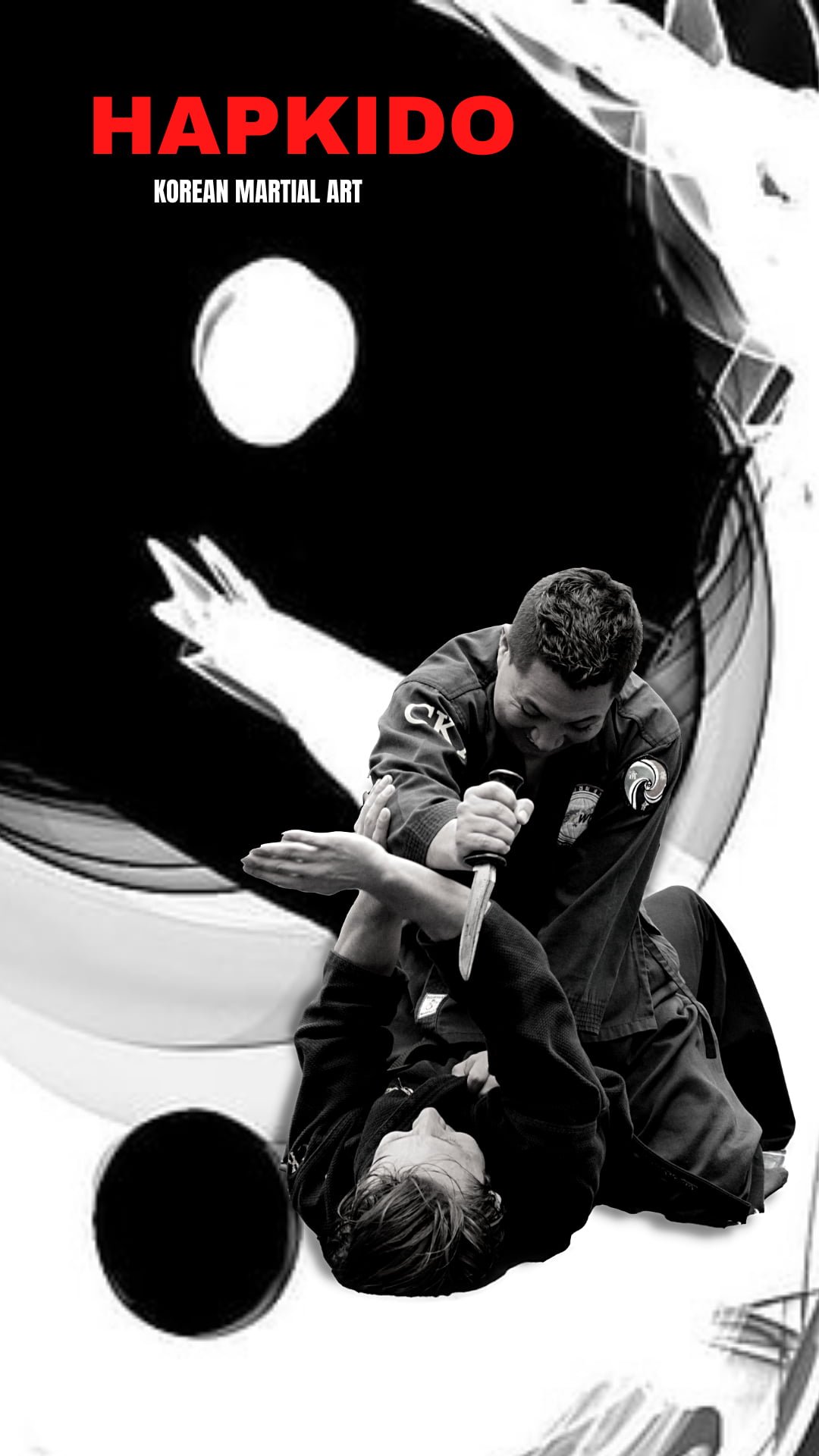 martial arts korean hapkido