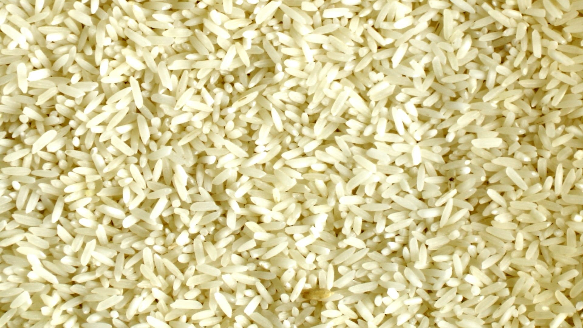 fill the frame photography of rice Grain Grains Indian grains 2k