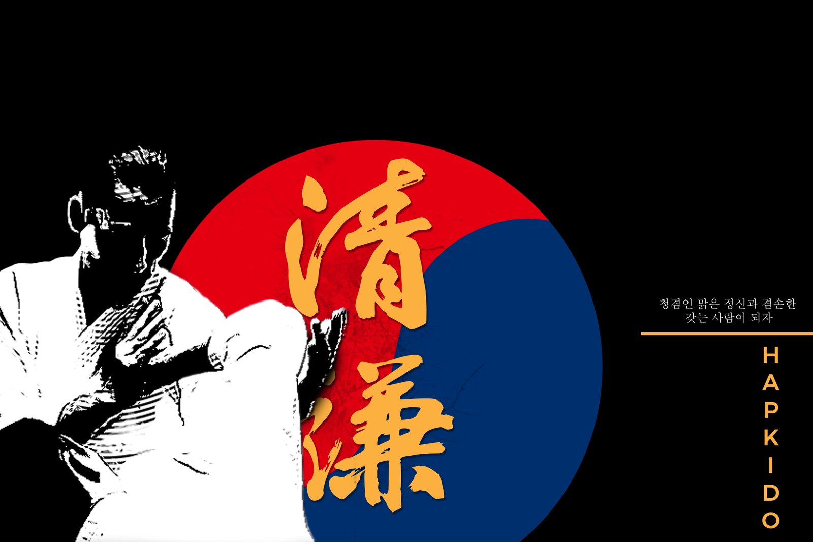 hapkido martial arts korean 2k 4k