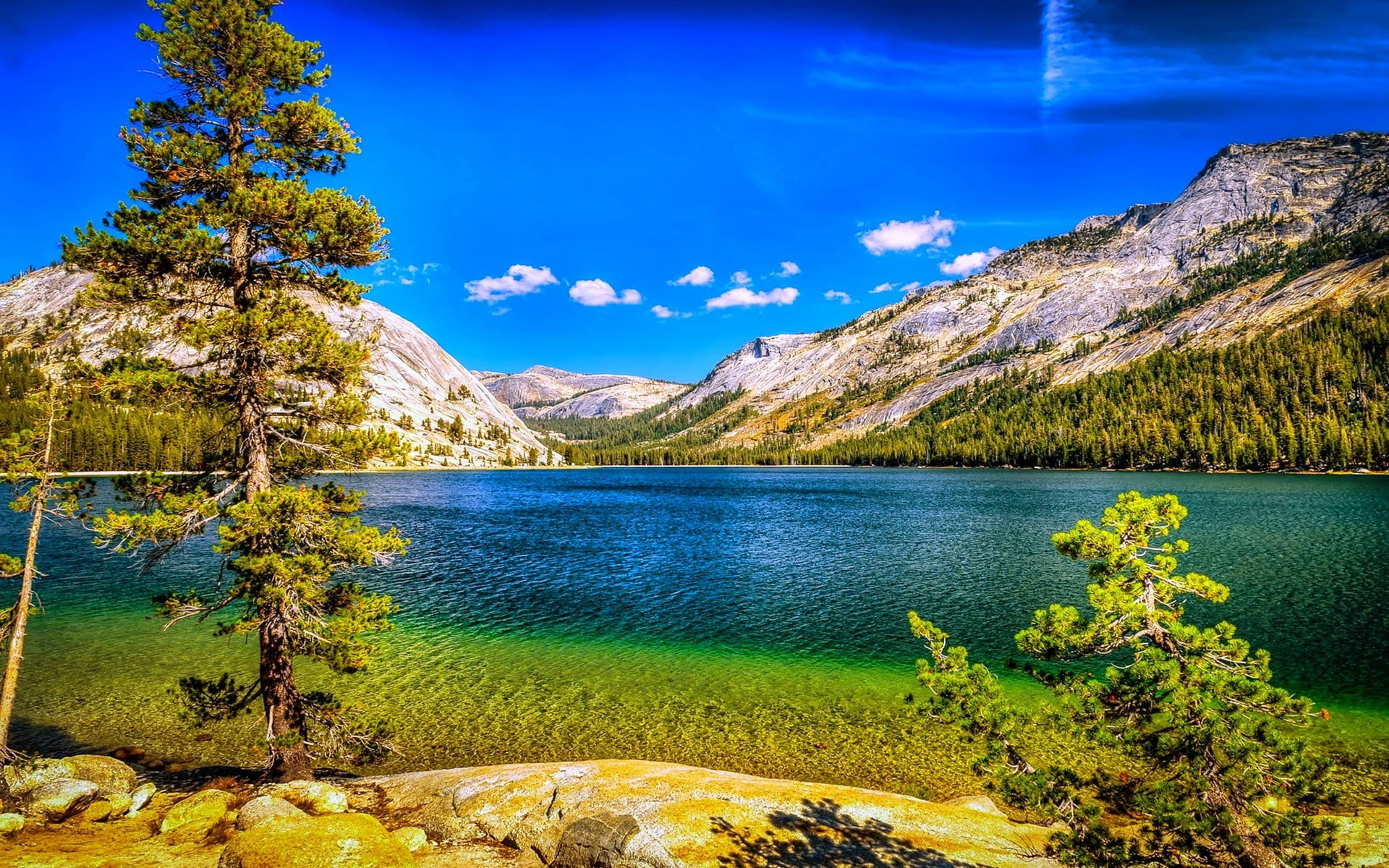trees and mountain nature landscape lake mountains forest 2k