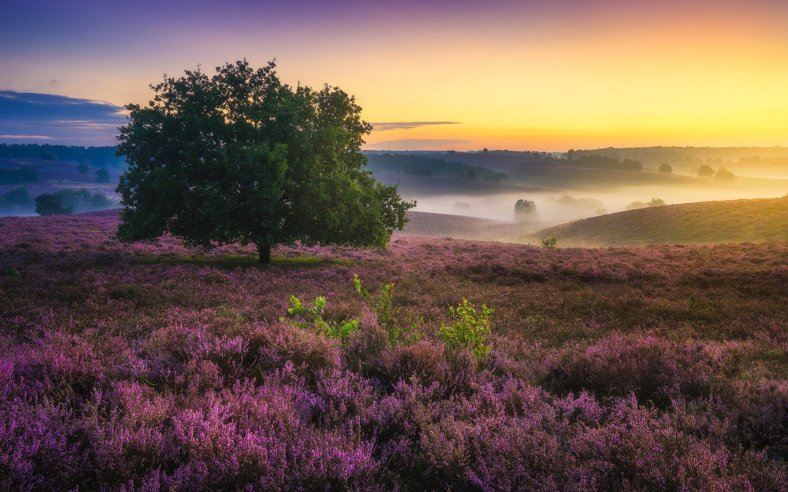 Beautiful scenery HD 2k