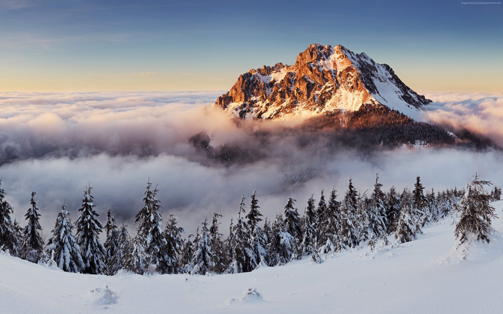 mountains forest fog snow winter 2k