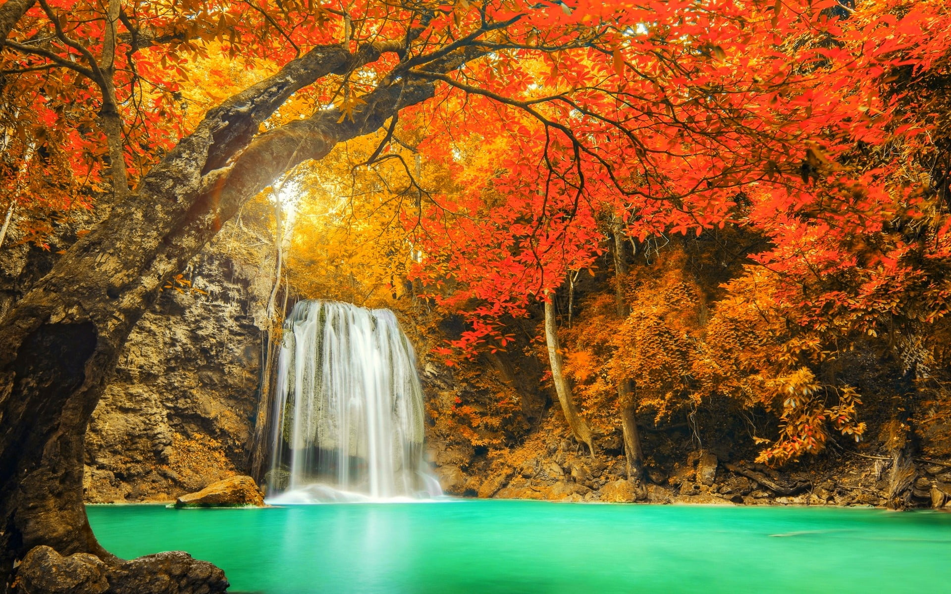 waterfalls surrounded with brown trees landscape nature colorful 2k
