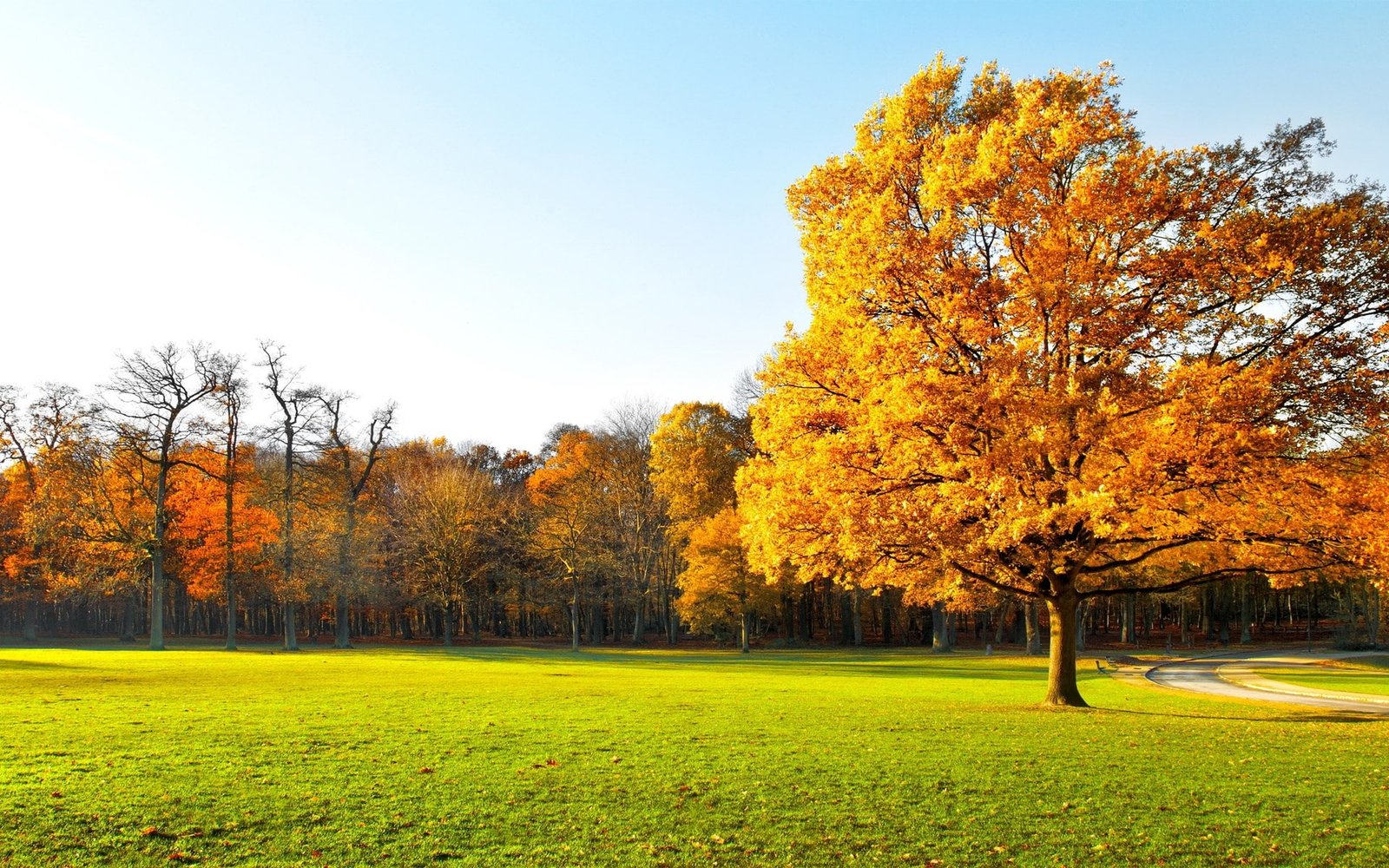 wonderful pictures of nature hd background 2k