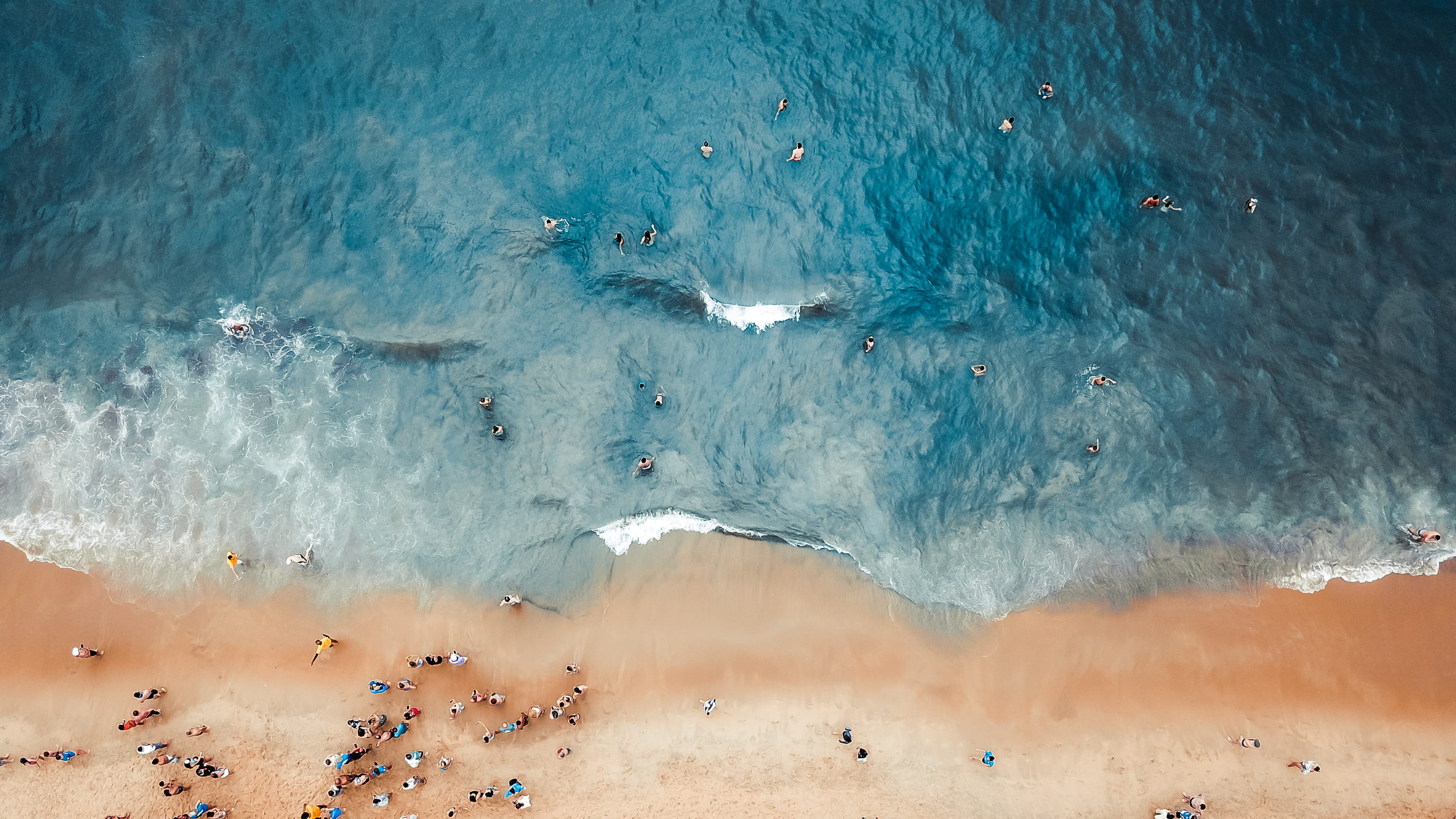 Aerial Photography of People on Beach aerial shot bird s eye view 2k