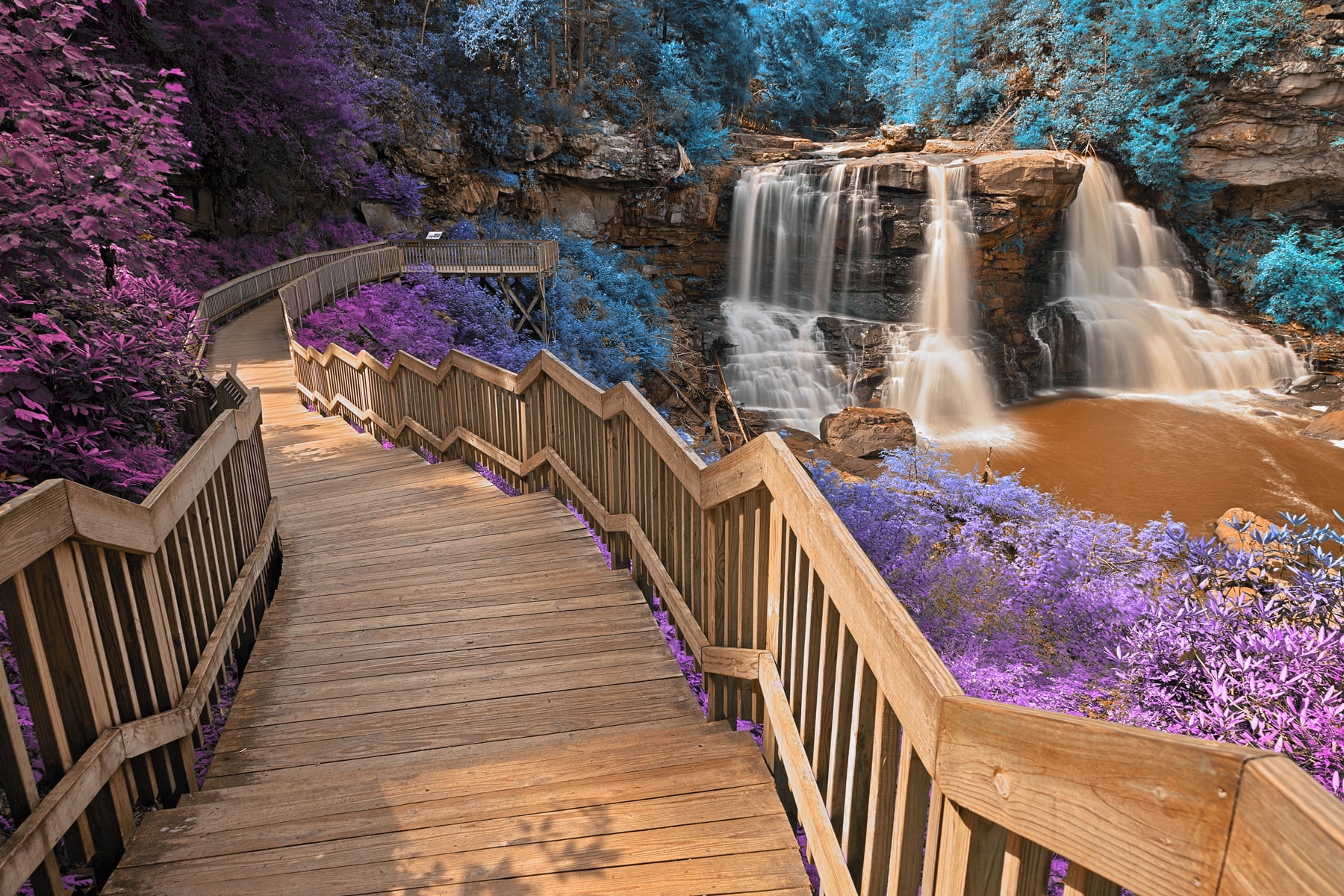 brown wooden stairs surrounded by purple and blue petal flower plant near water falls blackwater inca 2k