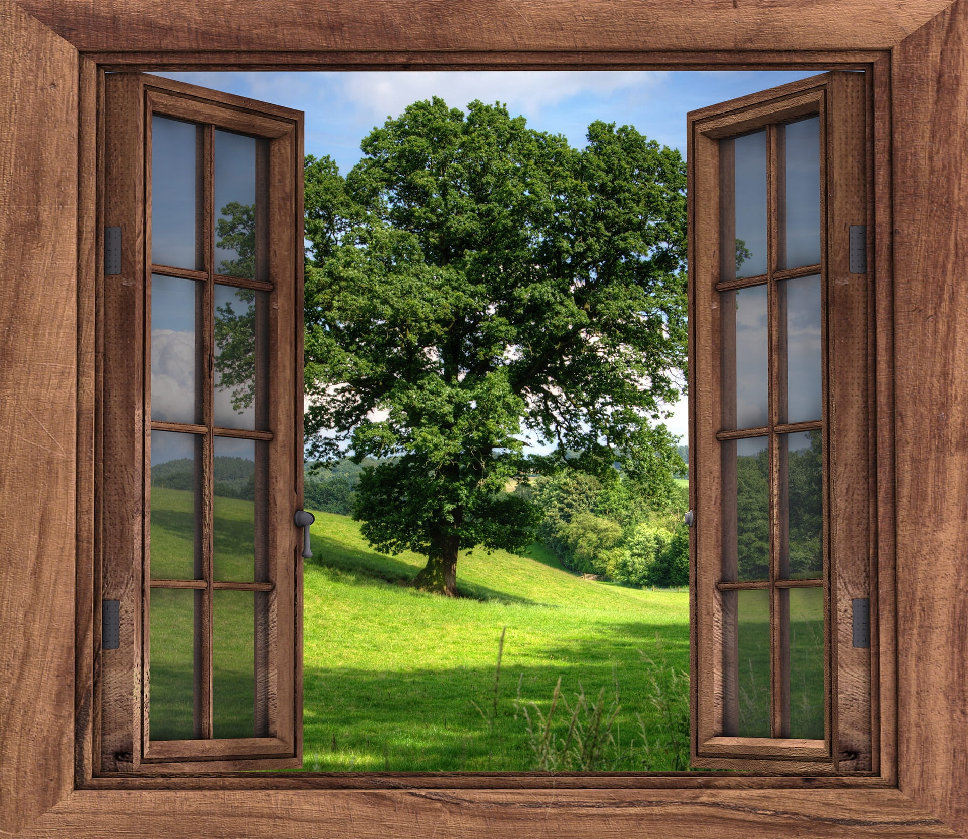 closeup photography of brown wooden open window front green leaf tree 2k