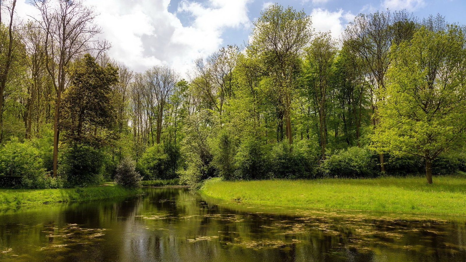 for desktop nature scenes beautiful scenery tree 2k
