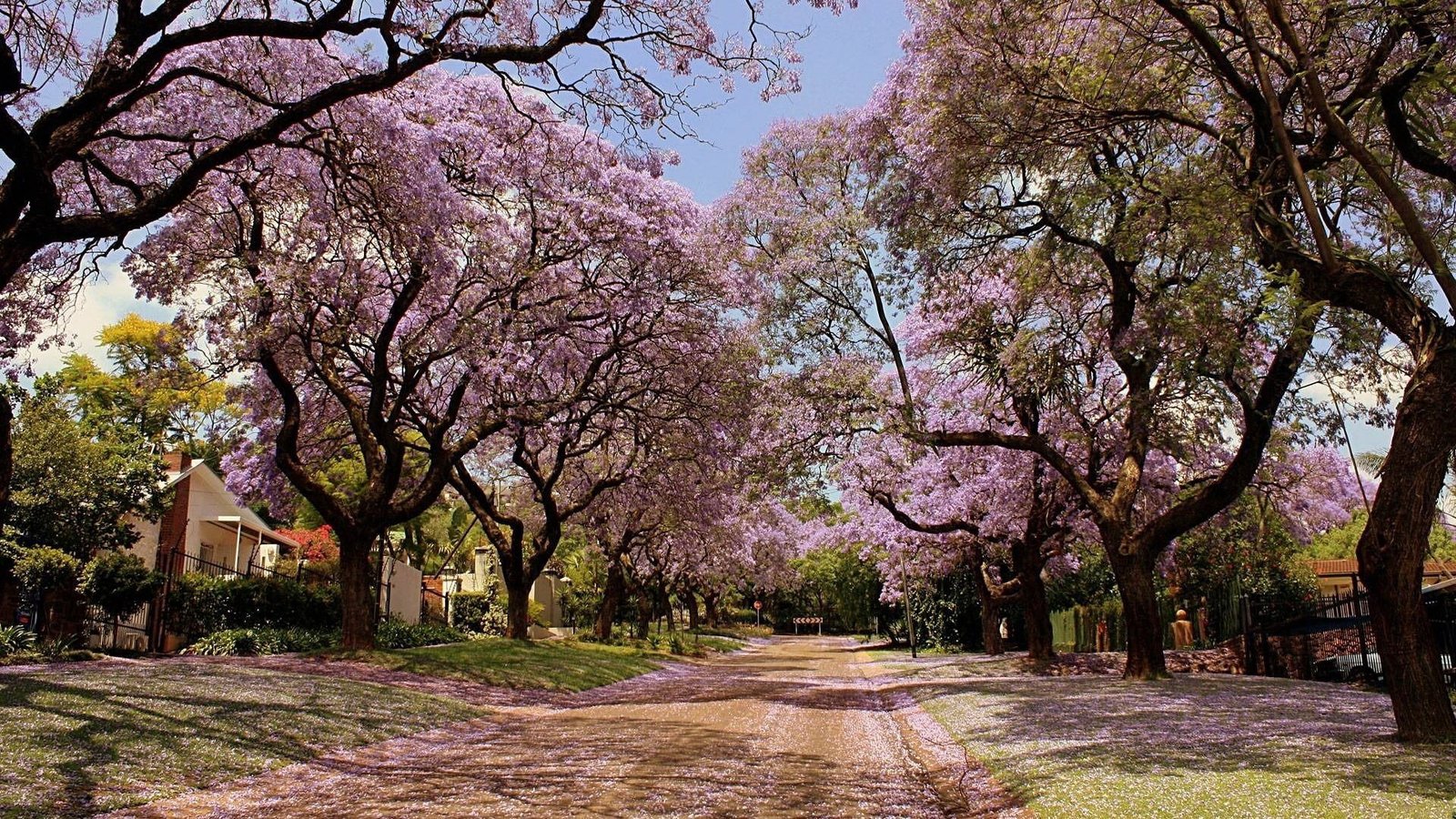 for desktop nature scenes beautiful scenery 2k