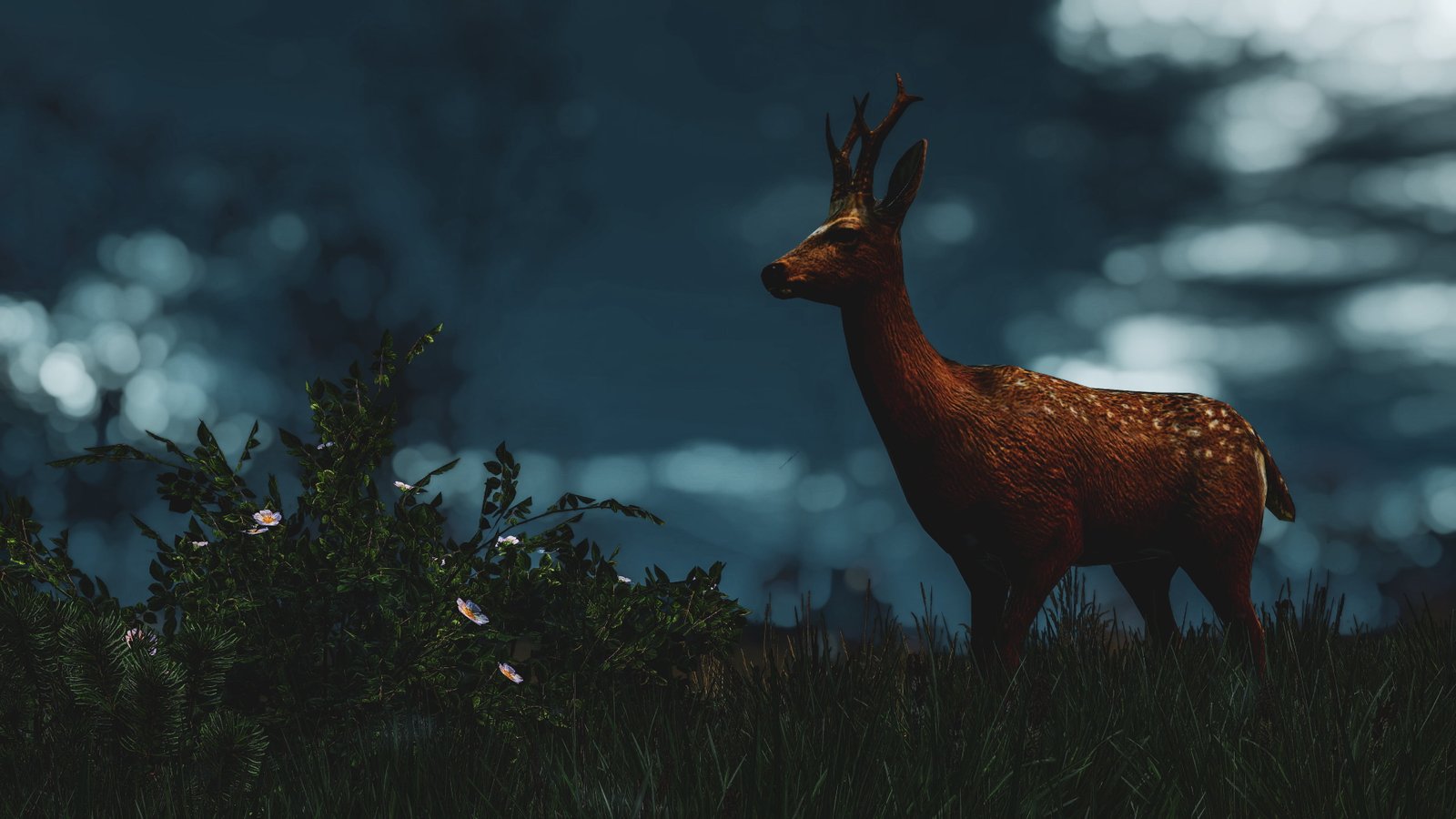 The Witcher 3 Wild Hunt 2k 4k