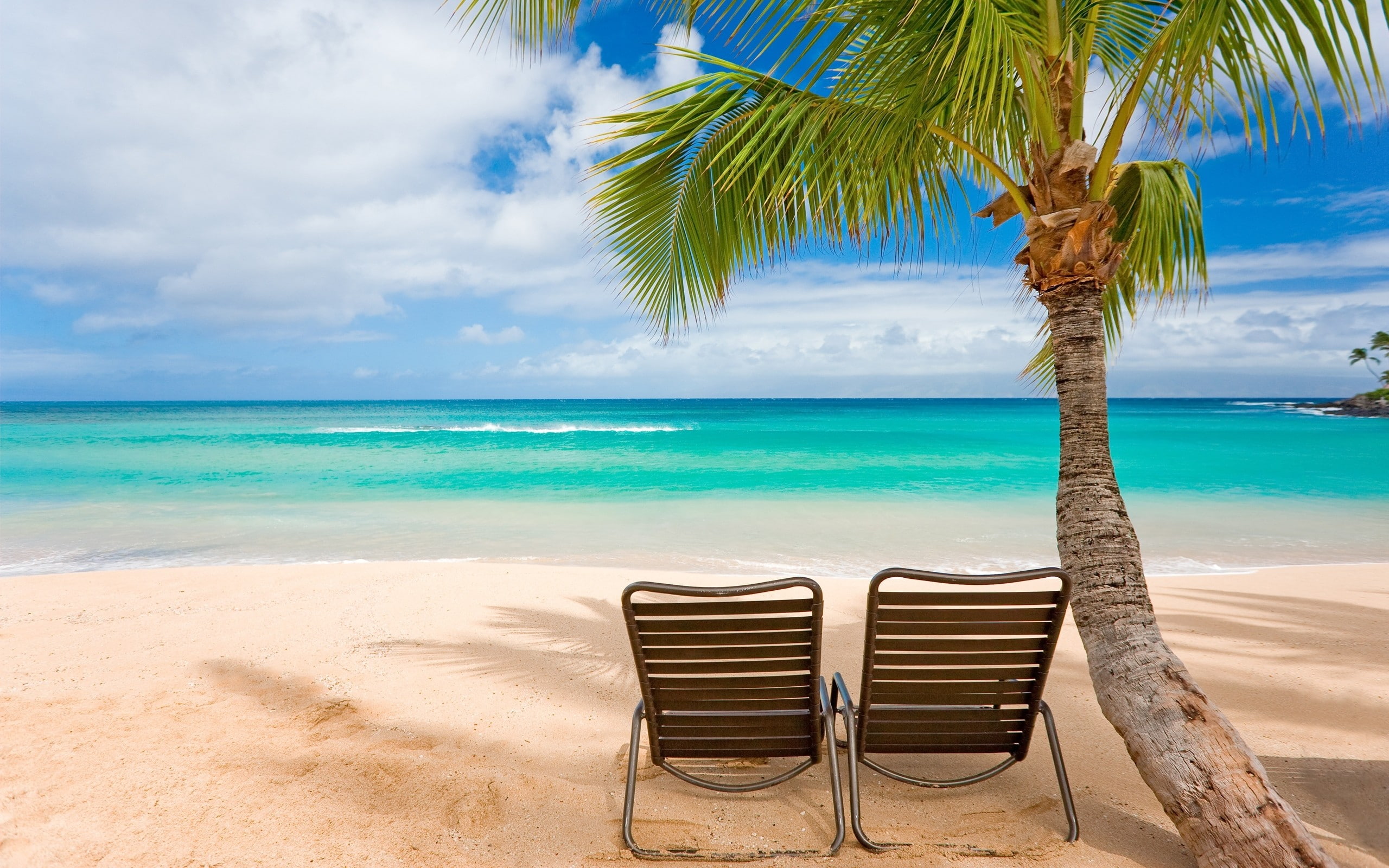 Tropical Palm Tree Ocean Beach Chair HD nature 2k