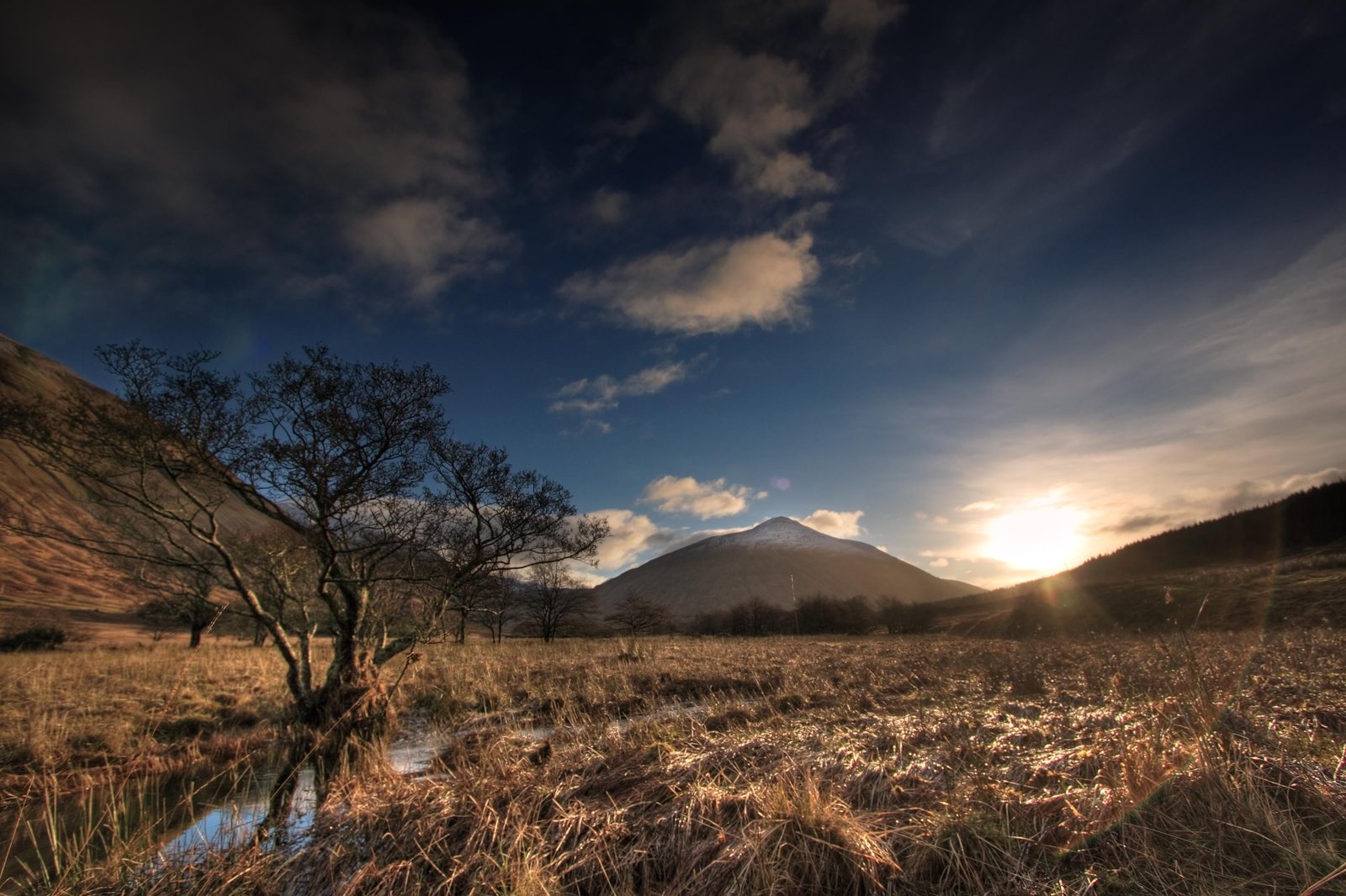 green tree near body of mountain scenery scotland landscape 2k